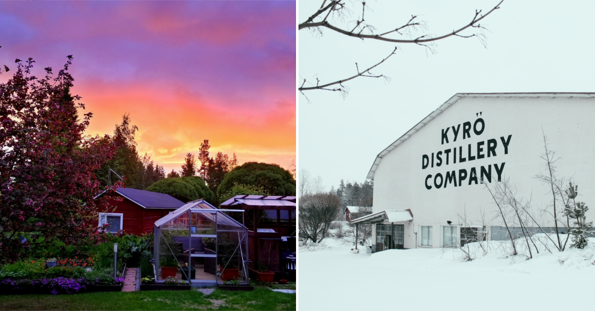 Week in Gin Helsinki Bars, GinInfused Chocolate & Cocktails Galore — Craft Gin Club The UK's