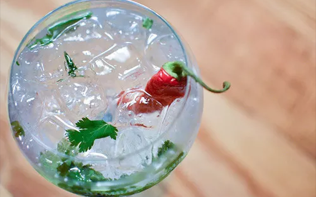 chilli+lime+gin+and+tonic.png