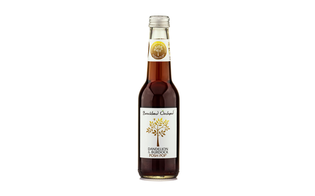 dandelion+burdock+brekland+orchard.png
