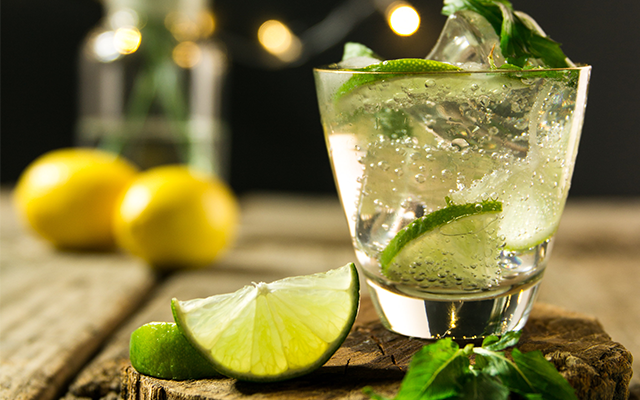 Mojito+gin+julep.png