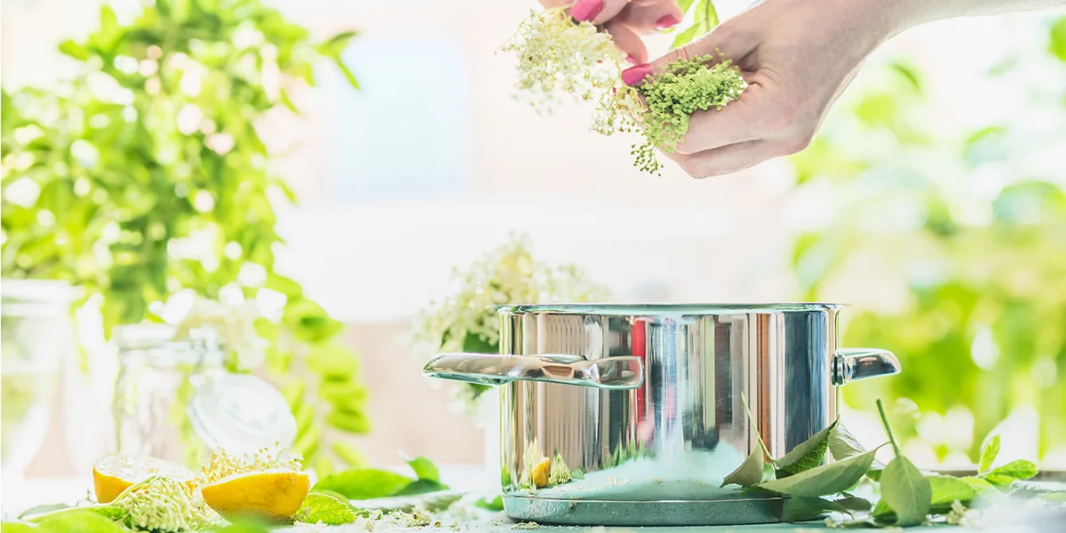 How to make homemade elderflower cordial in time for the perfect