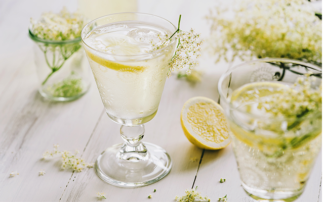 Primrose+cocktail+recipe+queens+favourite.png
