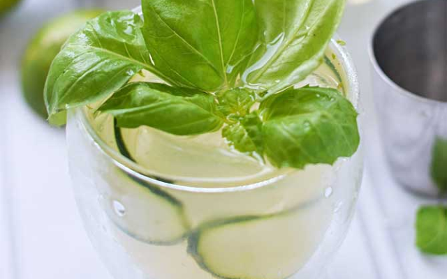 Cucumber+basil+gin+tonic.png