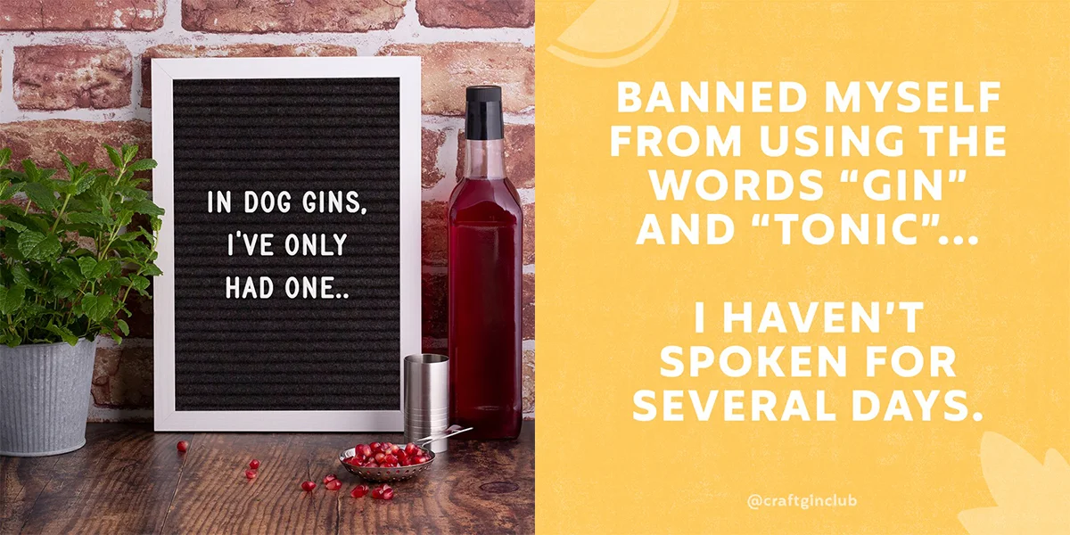 Knock Knock it is Gin O 'CLOCK Coaster Drinks Tapis-Drôle ivre Blague Knock Knock it is Gin O 'CLOCK Coaster Drinks Tapis-Drôle ivre Blague