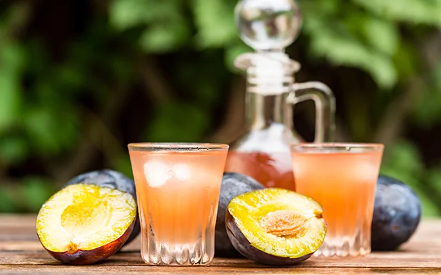 homemade+spiced+plum+gin+tonic.jpg