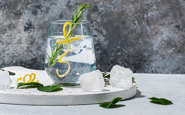 classic-gin-tonic-lemon-twist.jpg