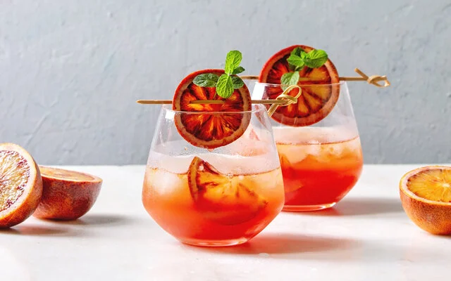 blood+orange+gin+cocktail+blood+orange+garnish.jpg