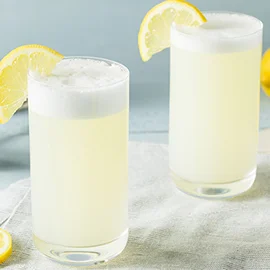 GIN FIZZ SQUARE.jpg