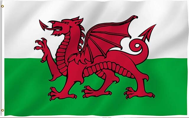 WELSH FLAG & DAFFODIL HAT St Davids wales Cymru red dragon rugby Cymraeg sport 