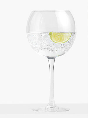 Gin Glasses » What Glass For Gin & Tonic, Martini & More – Flaviar