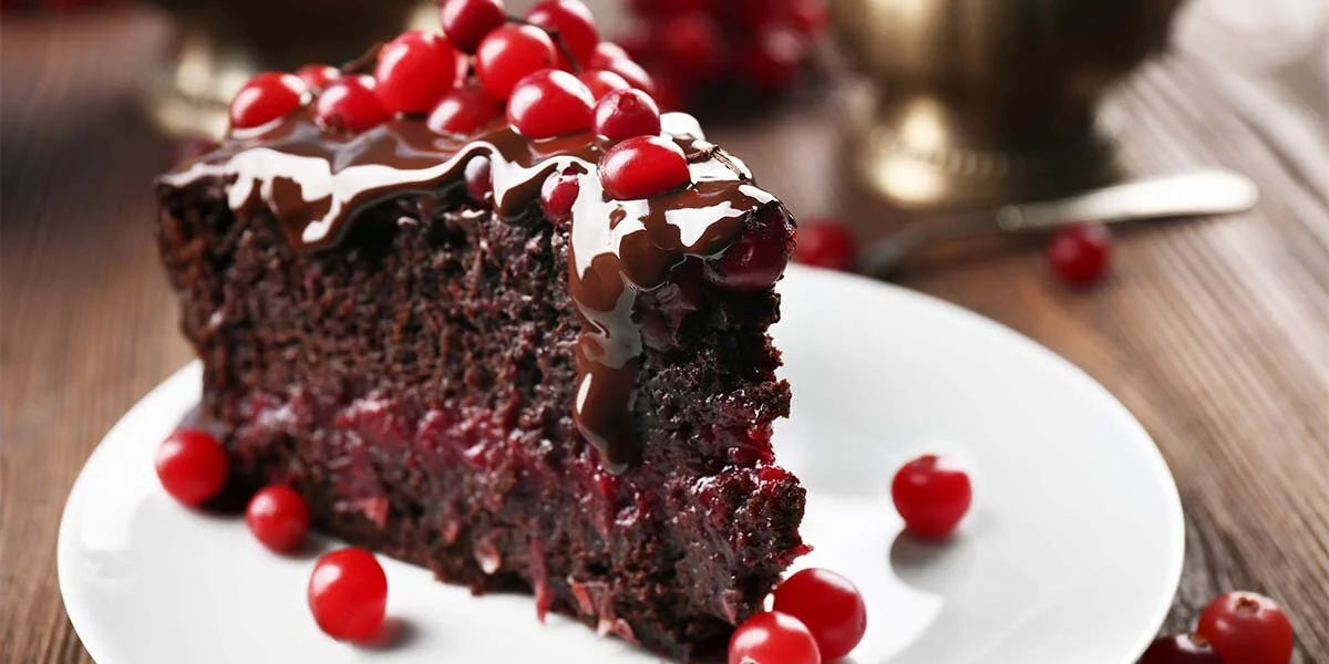 You need to try this Sloe Gin, Chocolate & Cranberry Cake! — Craft Gin