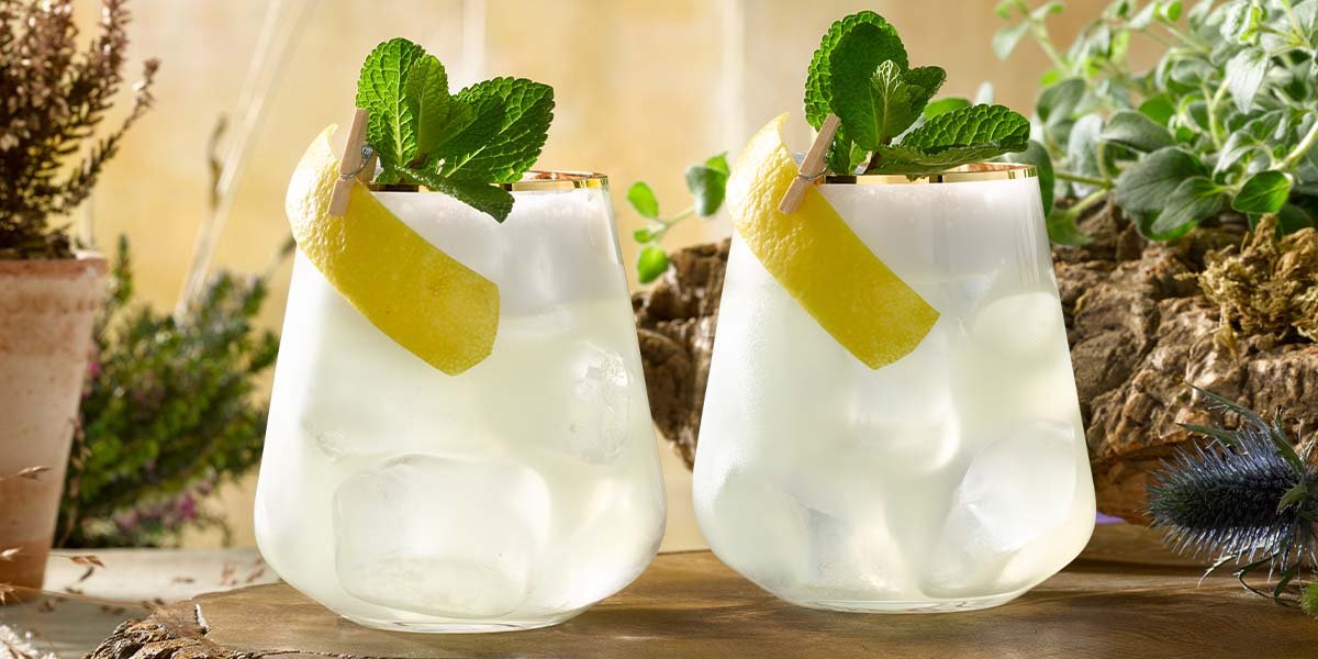 7 of the best gin cocktails with mint — Craft Gin Club The UK's No.1