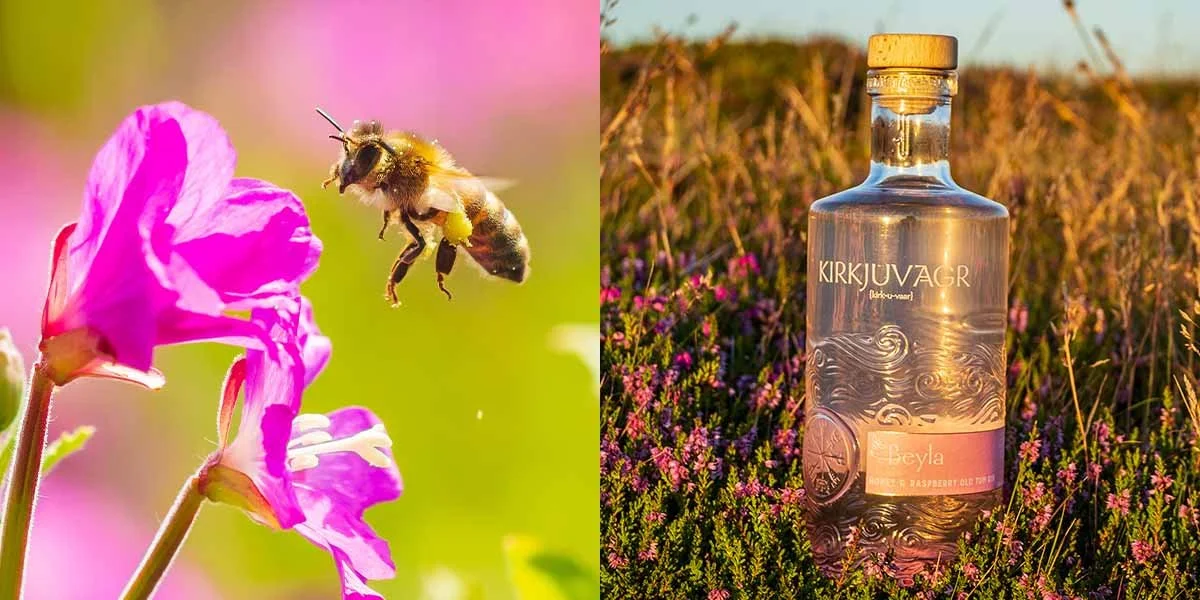 This Kirkjuvagr Beyla Honey & Raspberry Old Tom Gin and tonic is saving