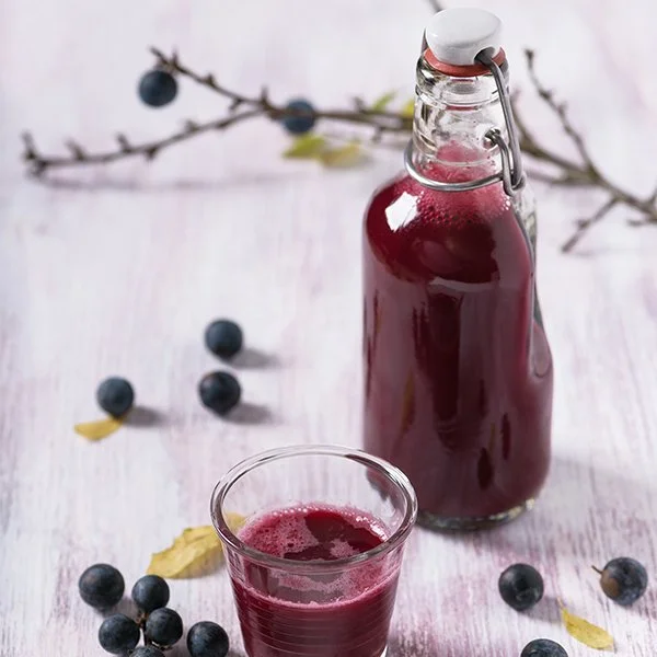 Discover the best gin liqueurs 2022! — Craft Gin Club The UK's No.1