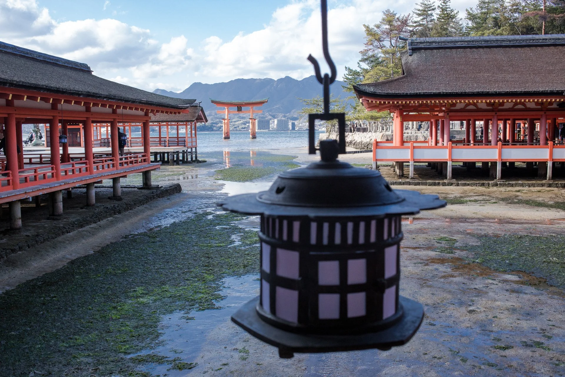 Immerse yourself in the timeless beauty and profound significance of this revered site as you partake in an unforgettable pilgrimage to Itsukushima Shrine.