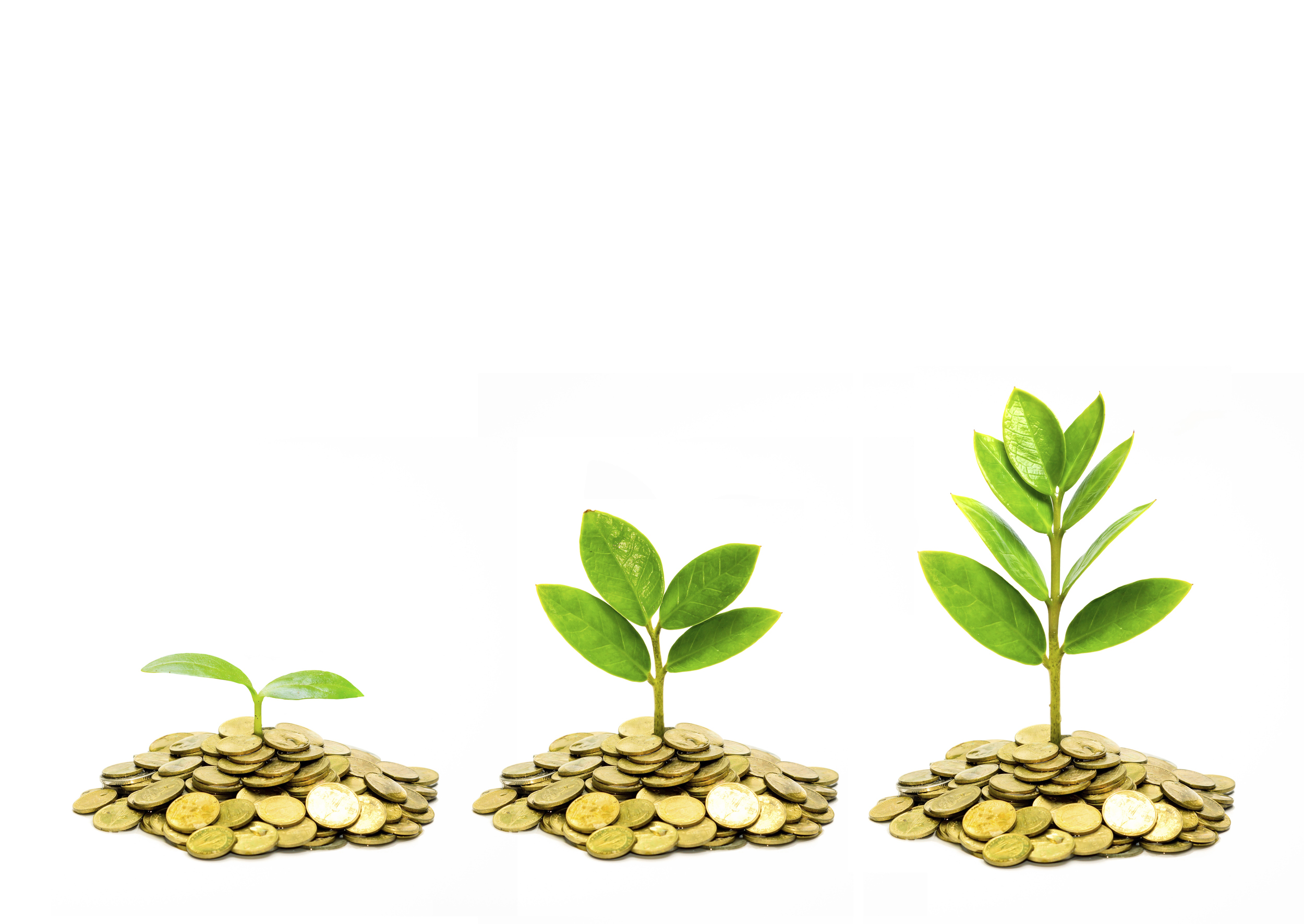 Expat Investments