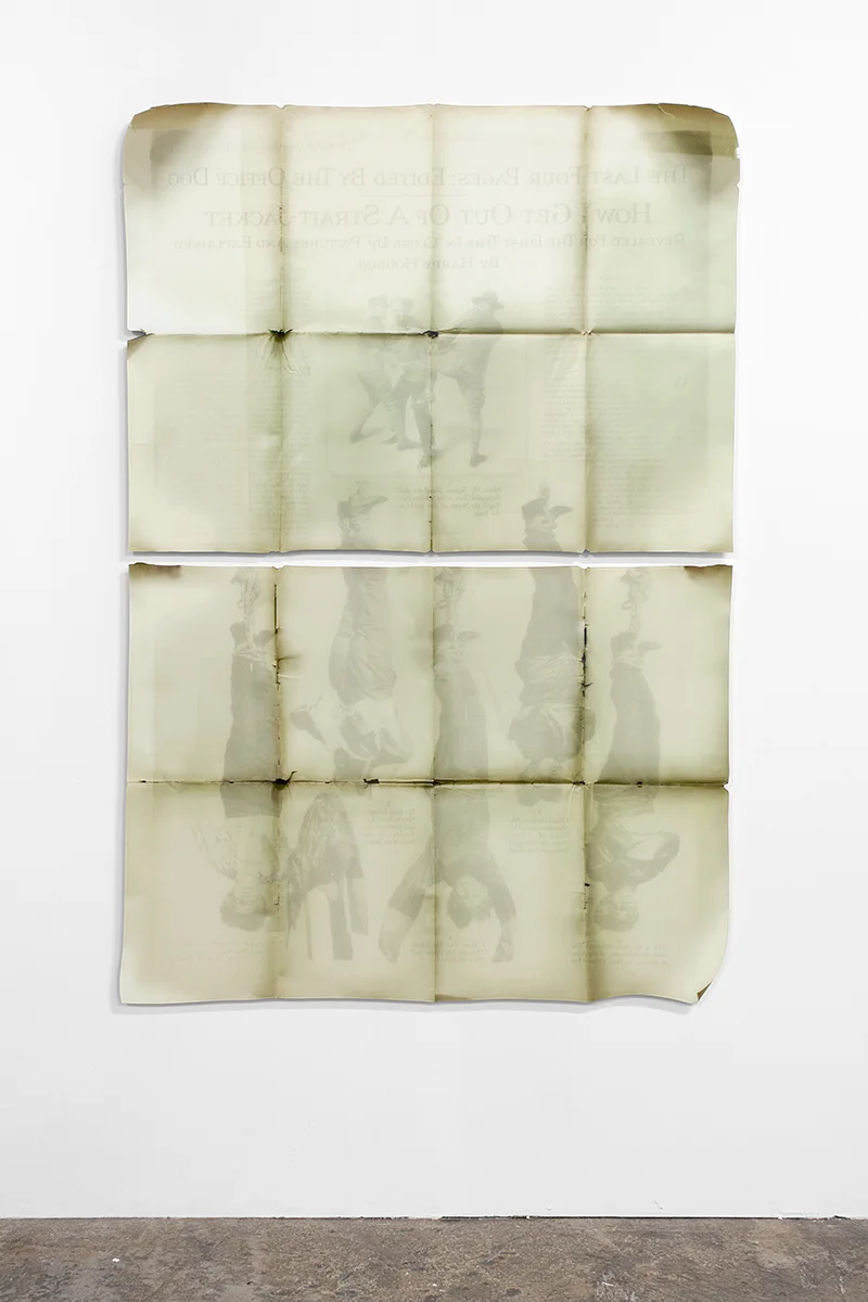 «Ink on Paper» (2012) Shapecut Diasec. 165 x 120 x 2.5 cm