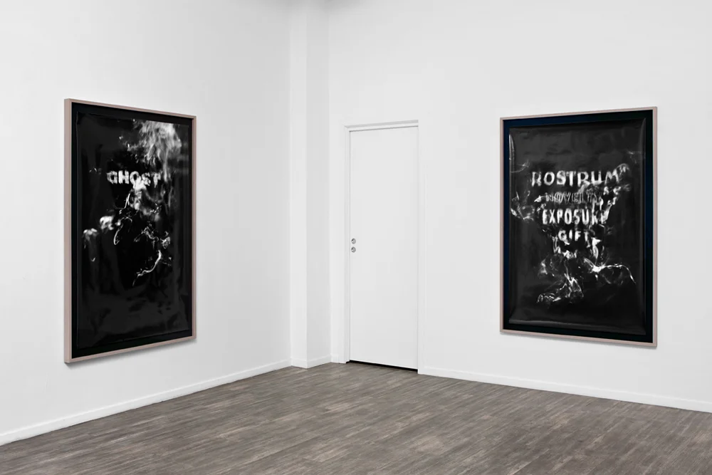 «Fraud Medium» 2012 Analogue silver gelatin print on baryta paper. Print size: 150 x 100 cm. Frame size: 164 x 114 cm. Ed: Unique + 1 AP - Installation view: Lars Morell «Fraud Medium» Norske Grafikere, Oslo. 31.01 - 24.02.2013. Documentation photos: Vegard Kleven