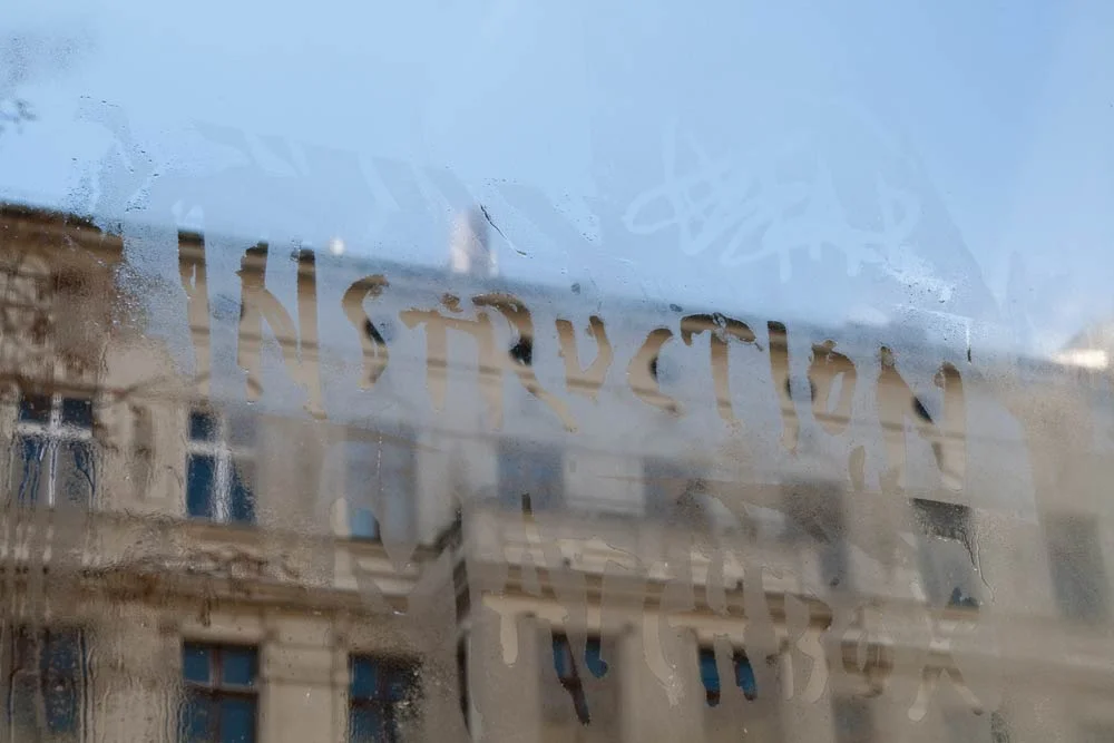 LM_window_1.jpg