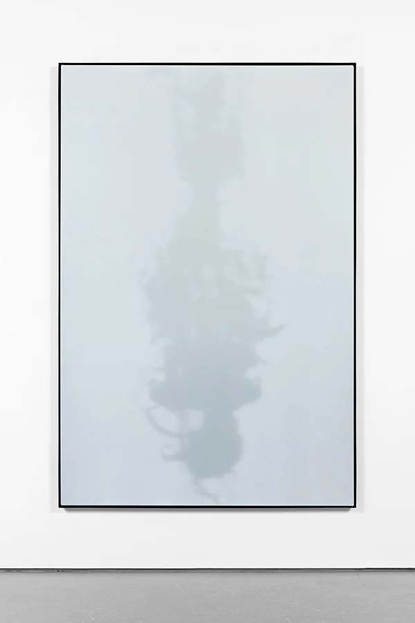 Shadow Canvas # 26 (2015) Acrylic on canvas, steel frame. 180 x 120 cm.