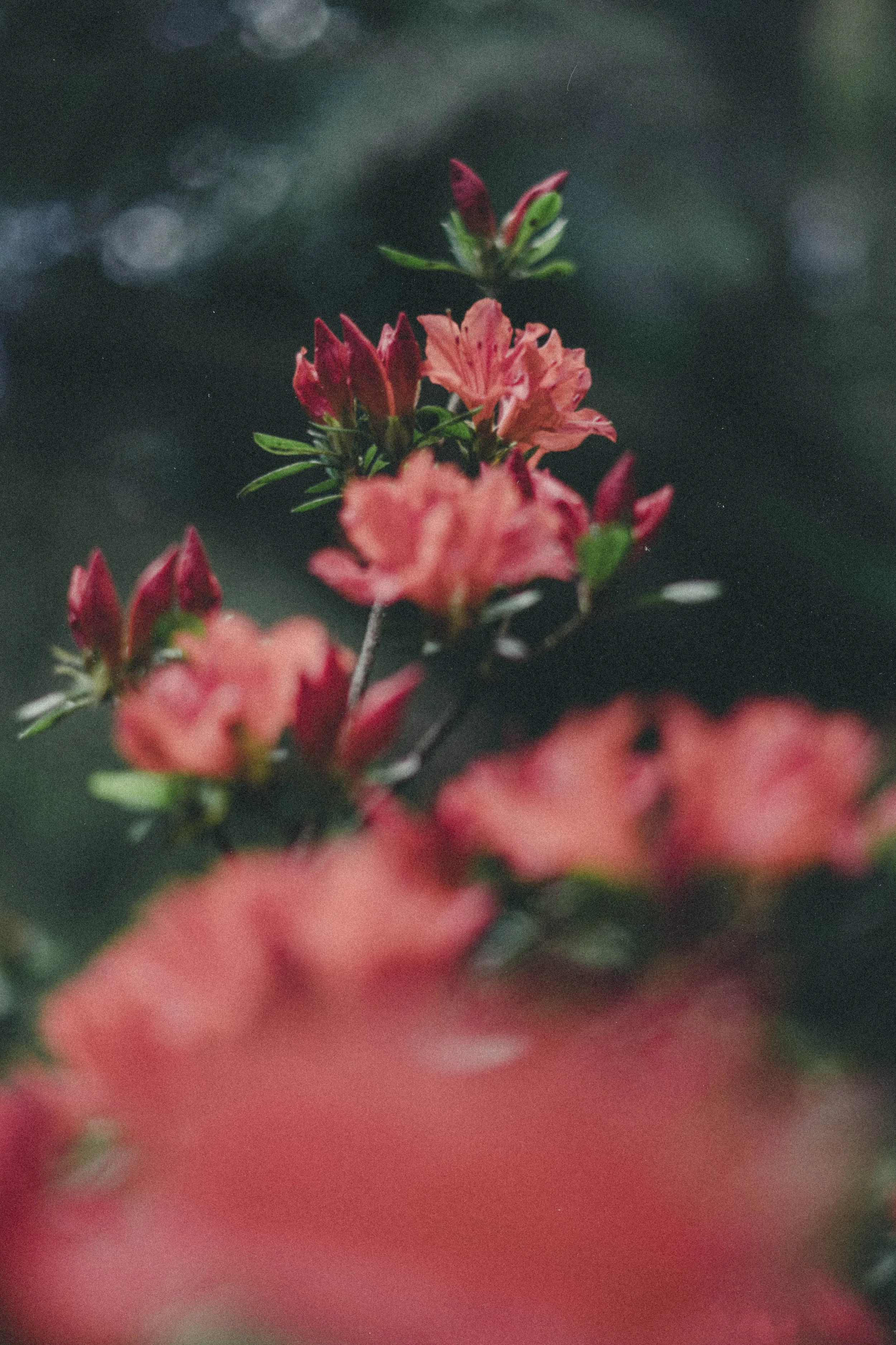 30.4.18 (15).jpg