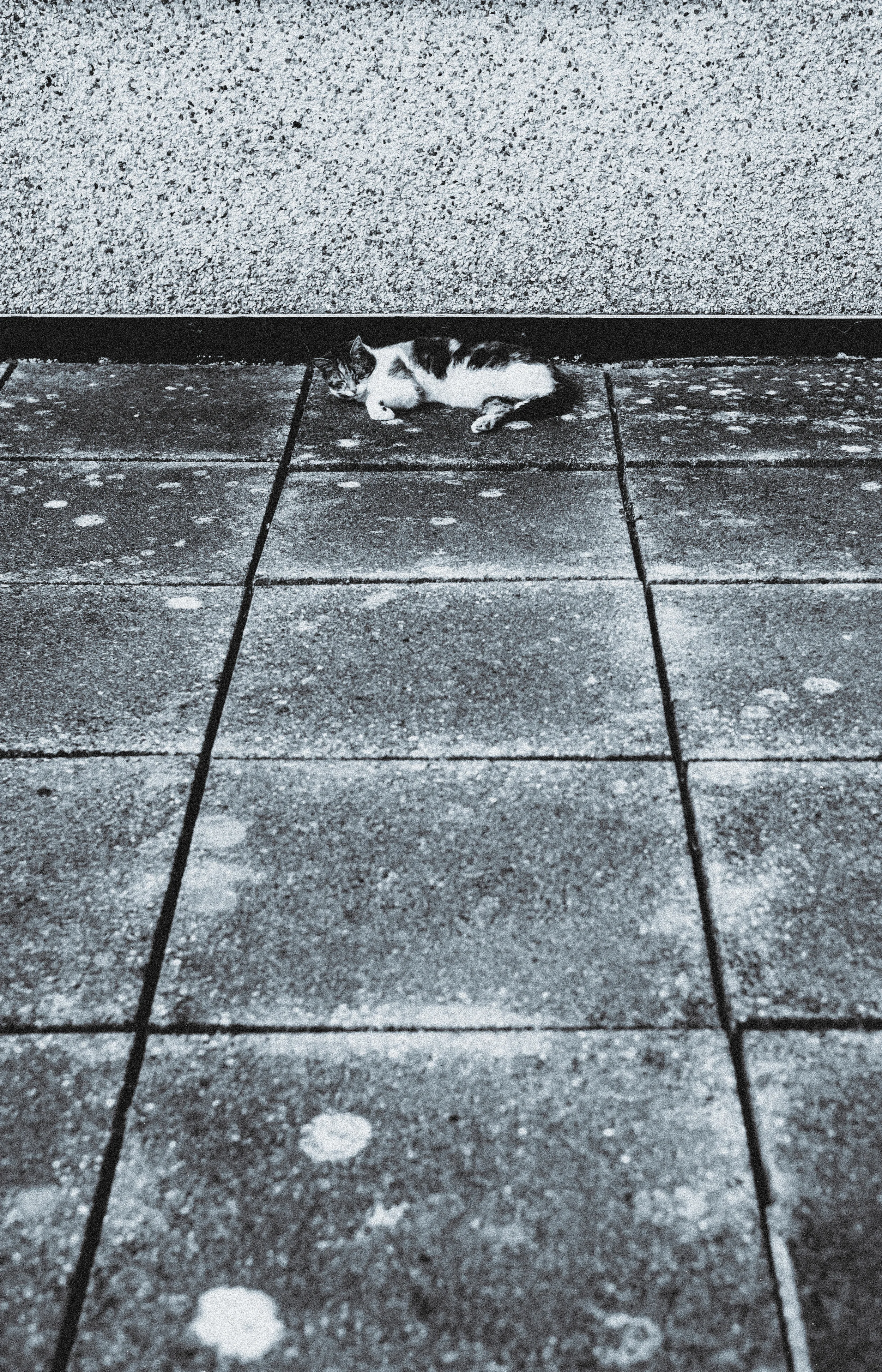 Street Photography in Cornwall, UK