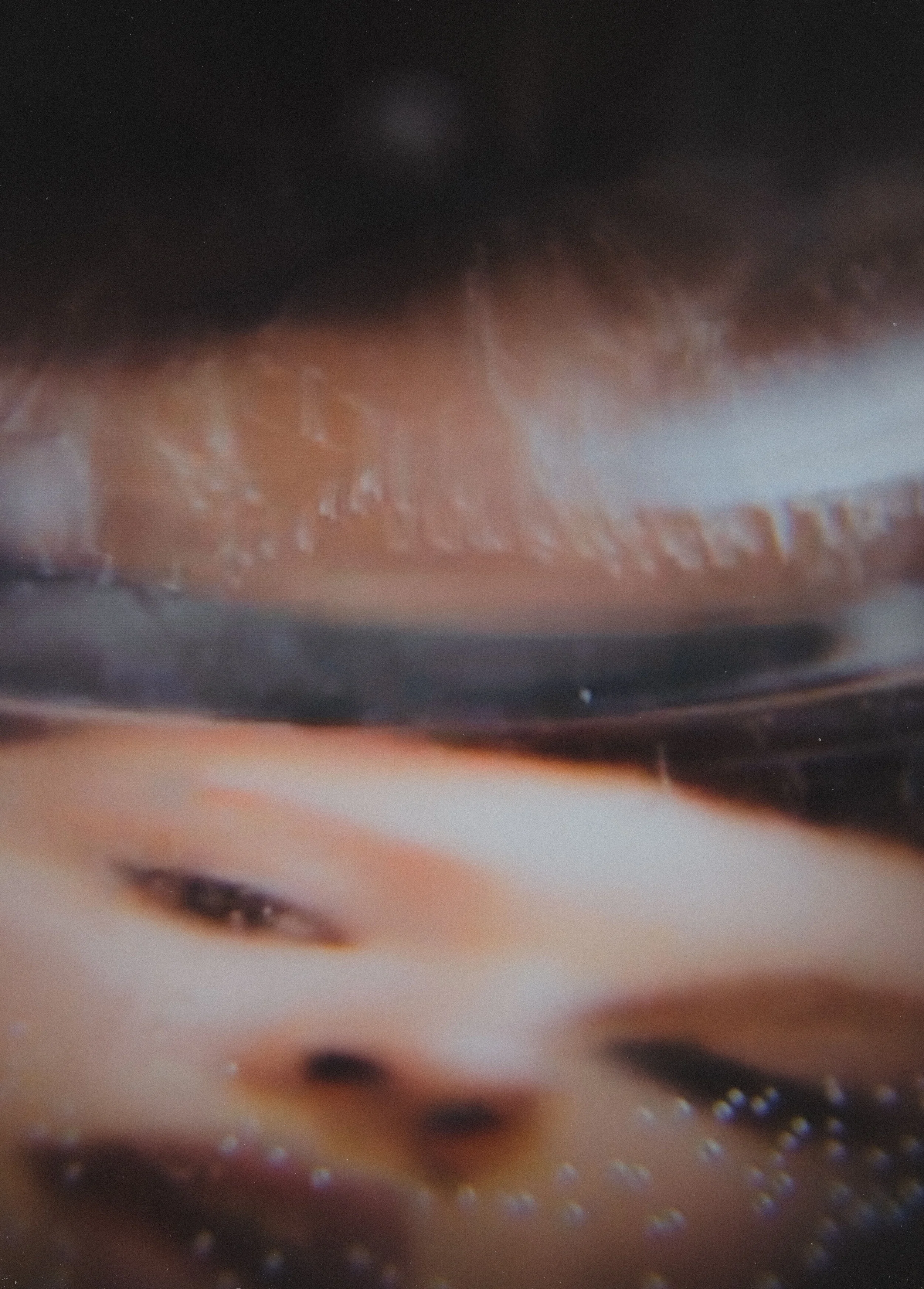 Ellie, Portrait Photography via Zoom Photography, 9.3.21