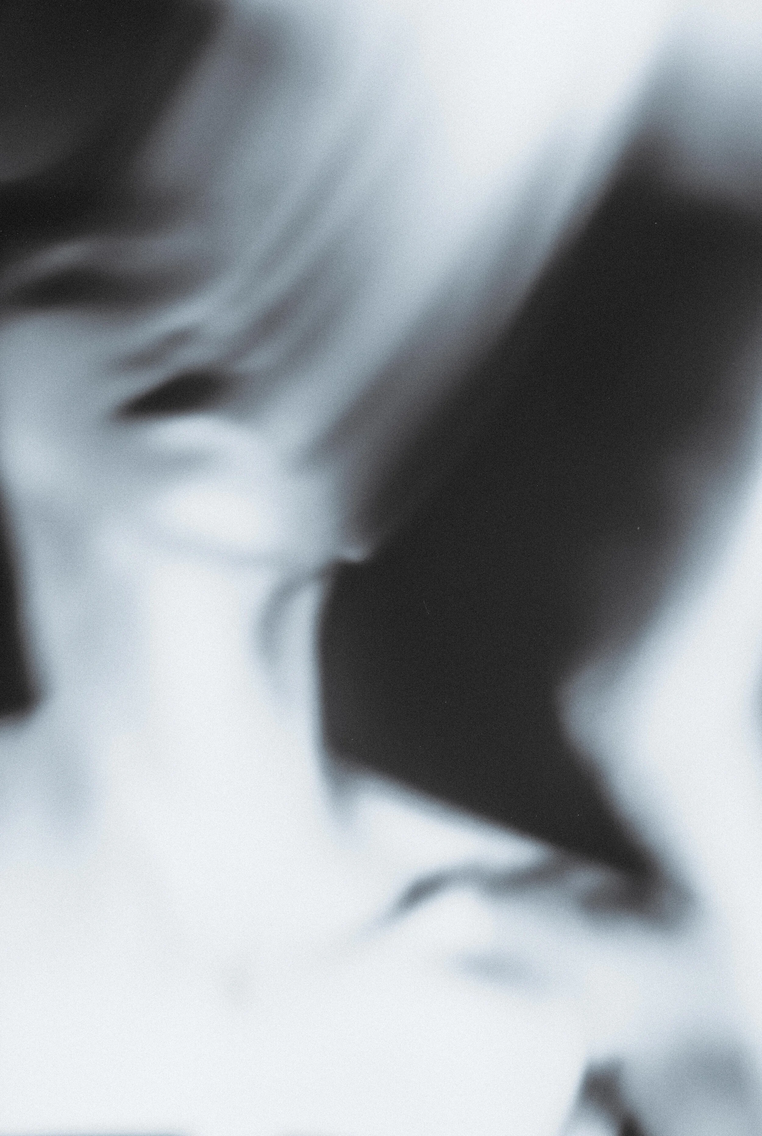 Kimberly, Portrait Photography via Zoom, 2.6.21