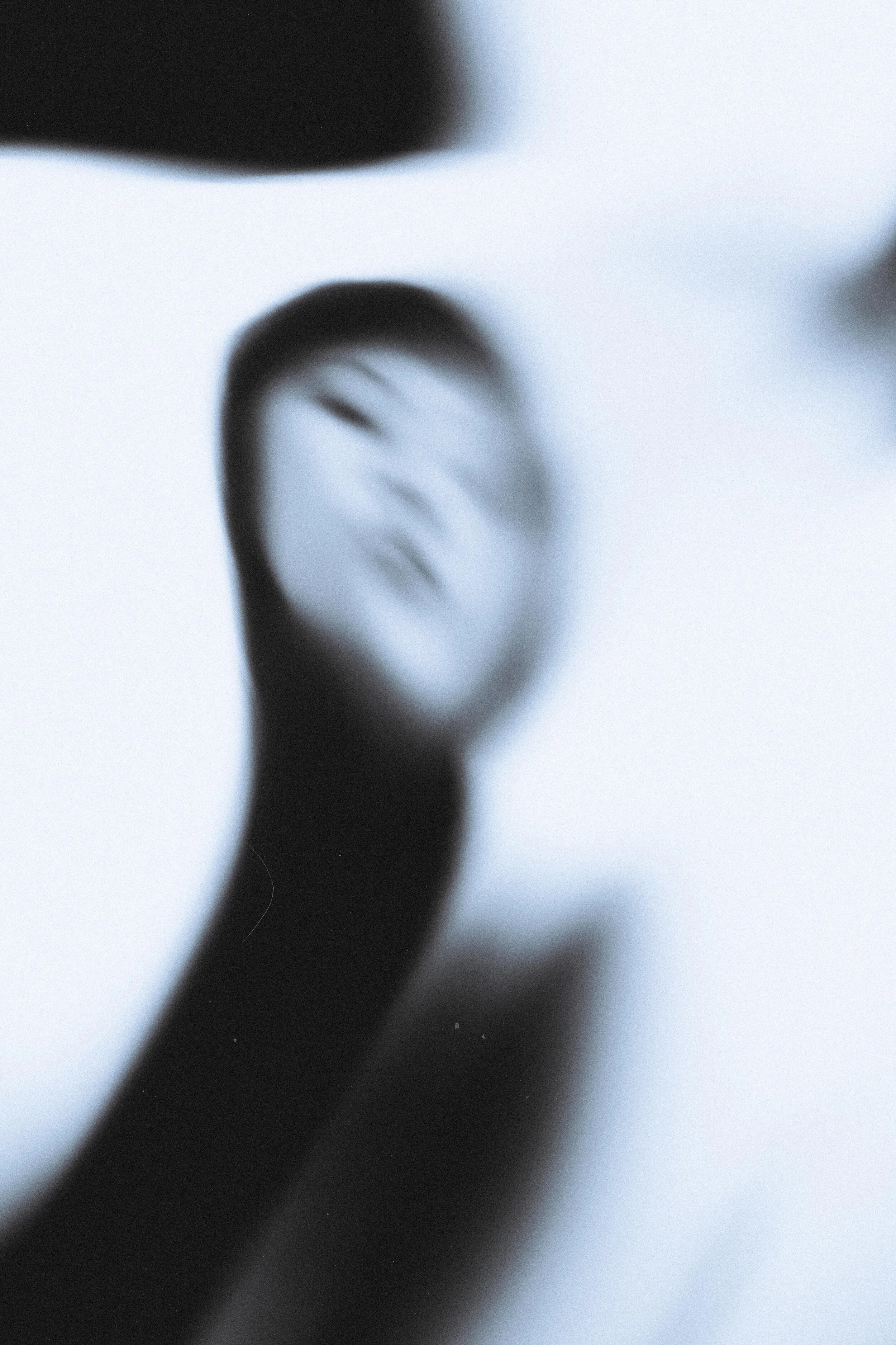 Cynthia, Portrait Photography via Zoom, 8.6.21