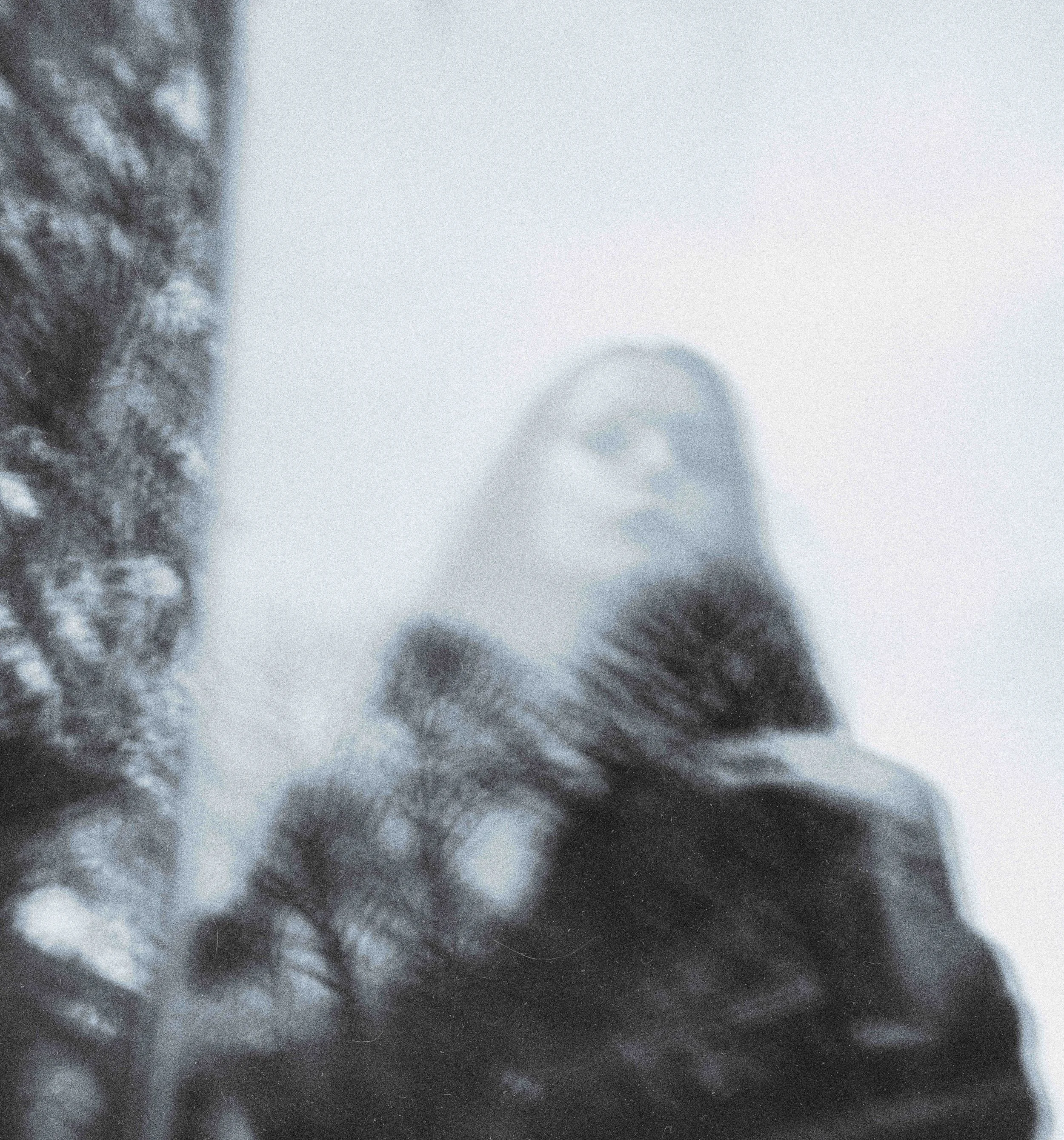 Amber Ray, Portrait Photography in Cornwall, UK, 21.11.21