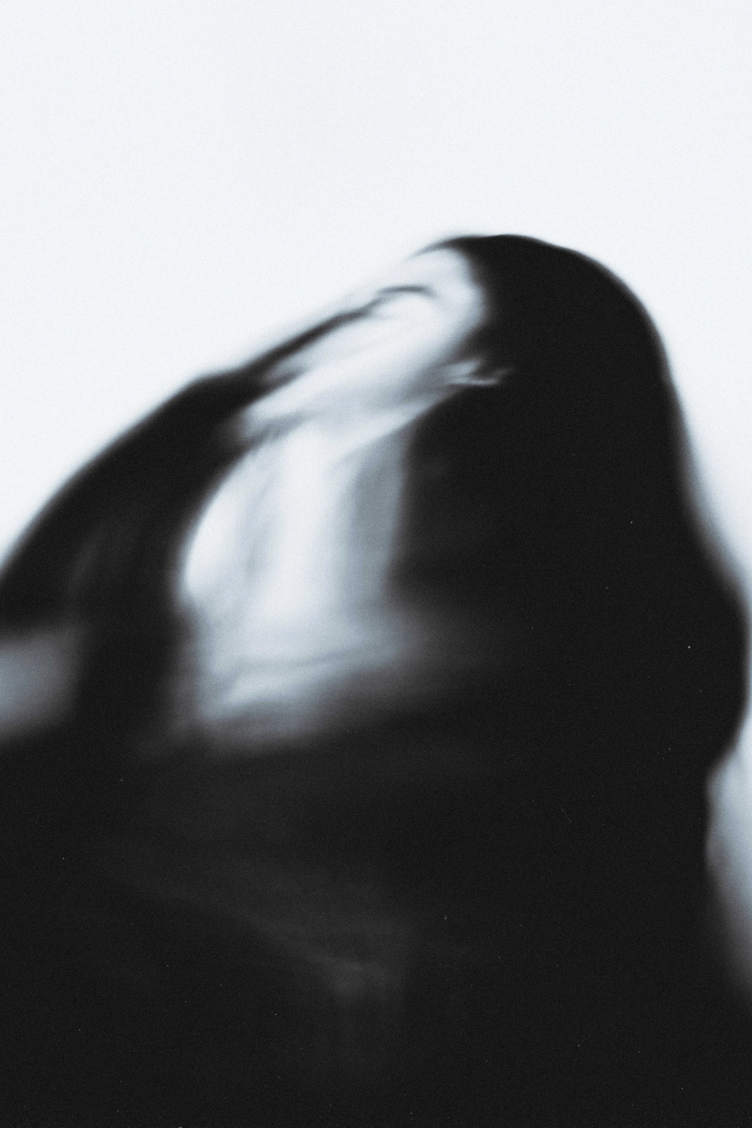 Wil, Portrait Photography via Zoom, 1.5.22