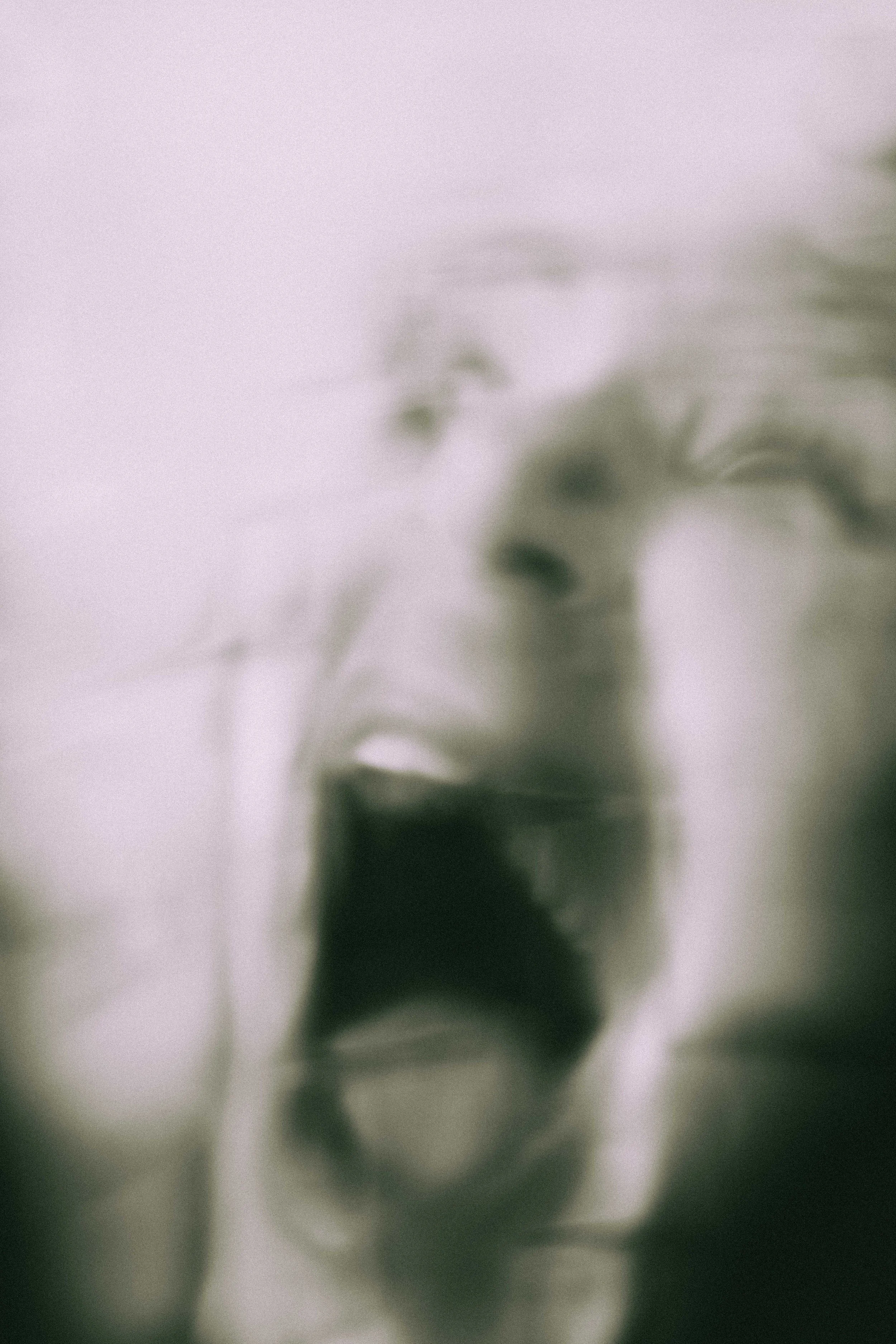 Chiara, Portrait Photography via Zoom, 29.5.22