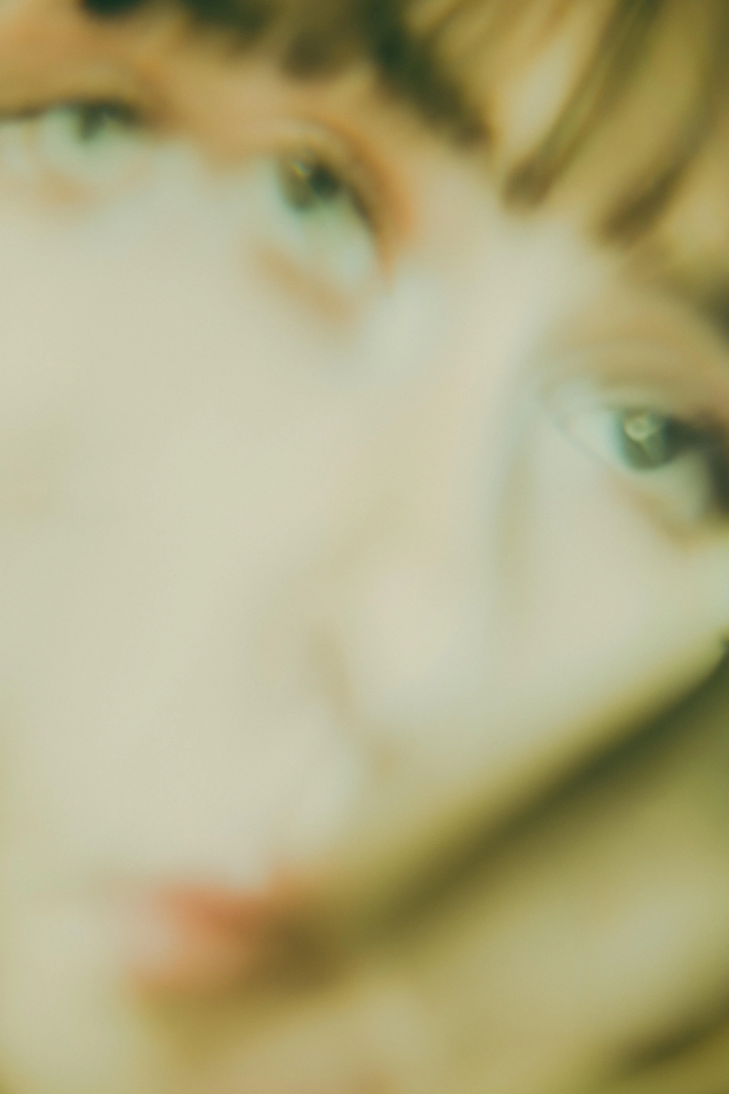 Jay, Portrait Photography via Zoom, 8.6.22