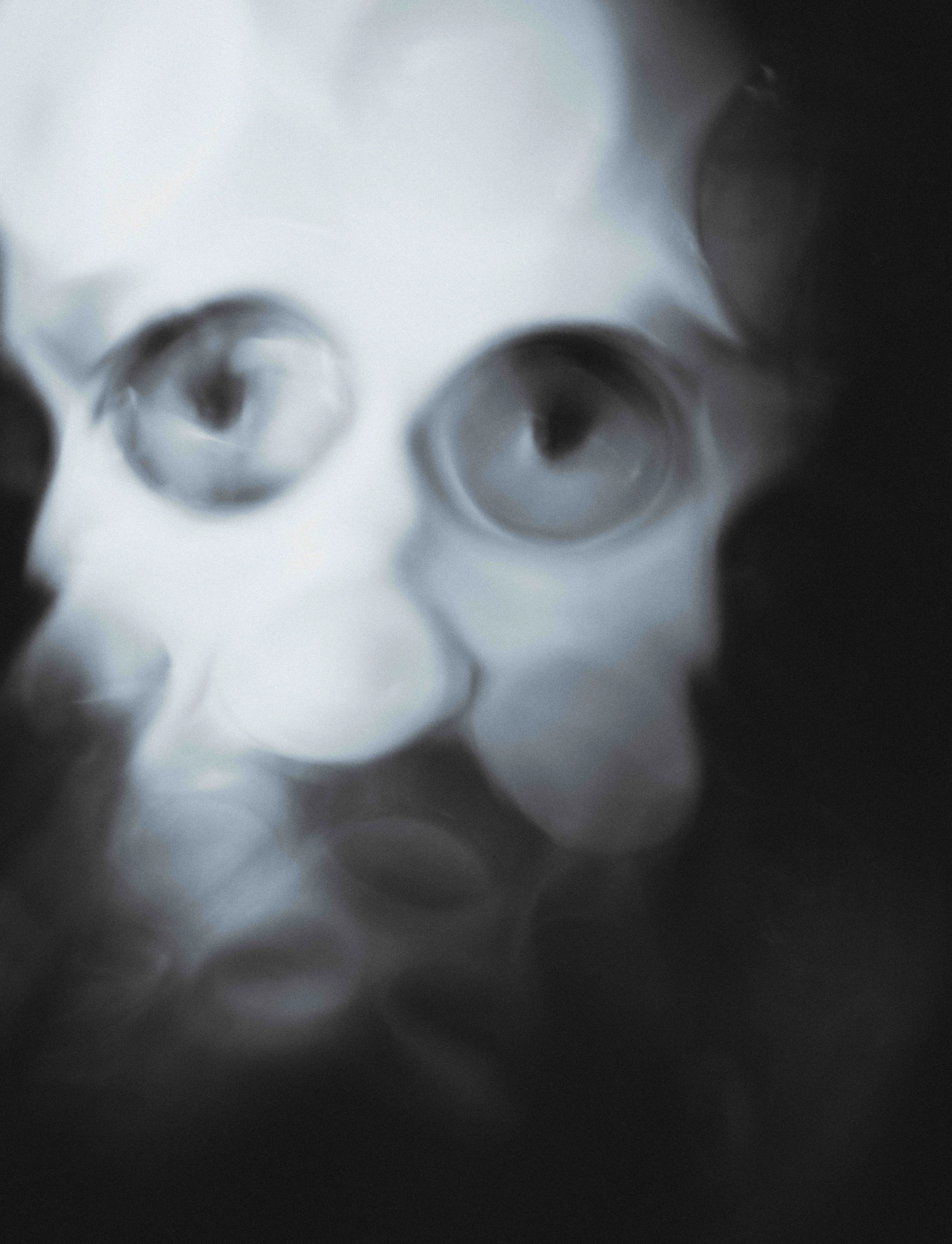 Dan - Portraits