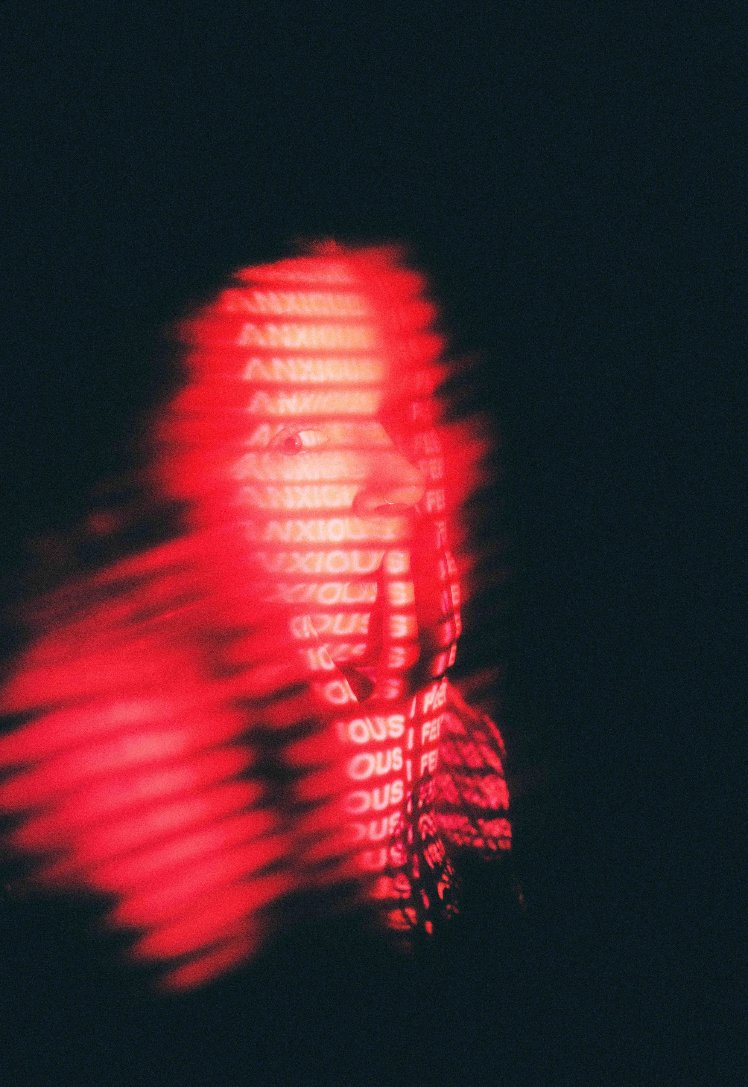 Zoe, Portrait Photography in Cornwall, UK