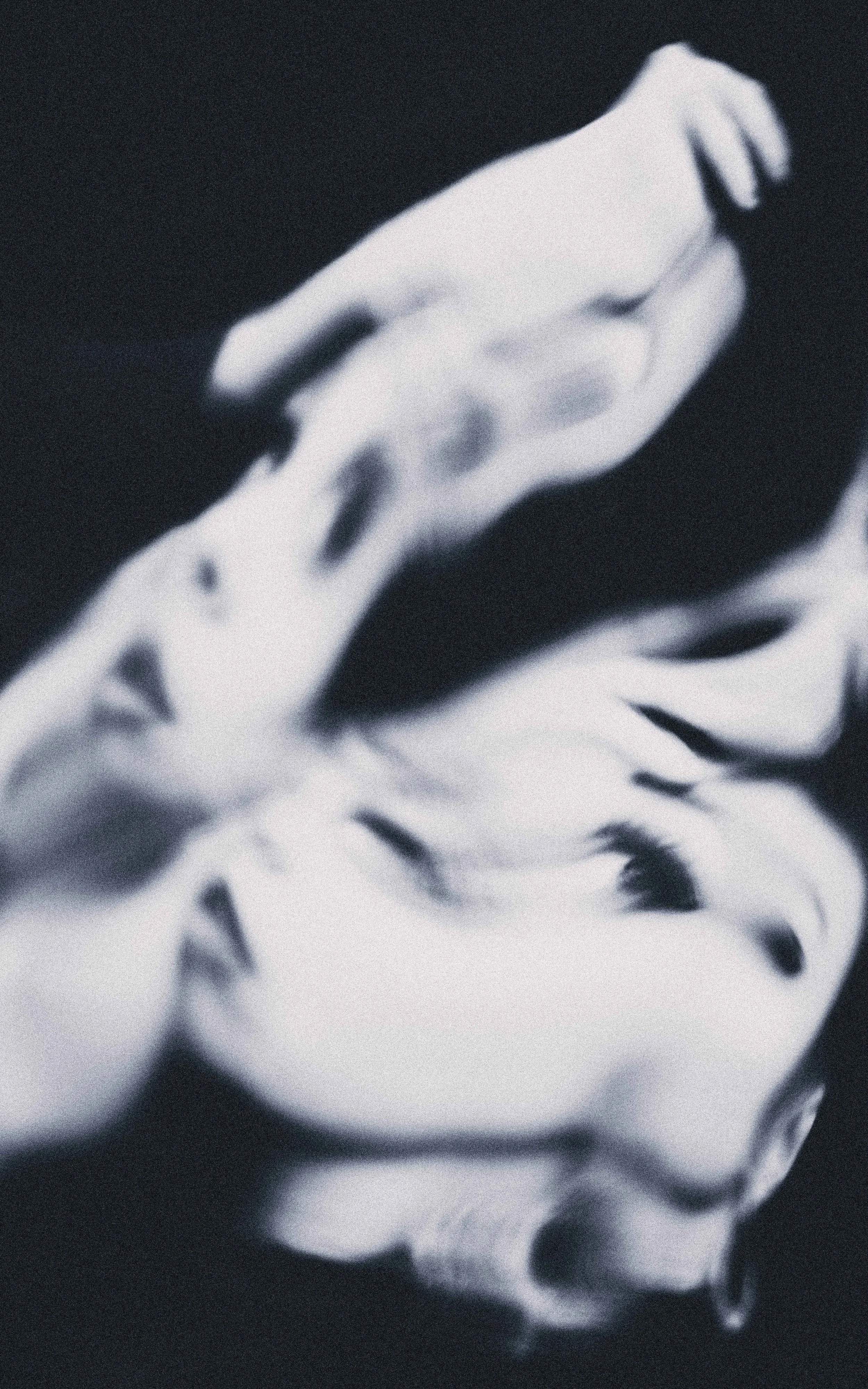 Hannah, Portrait Photography via Zoom