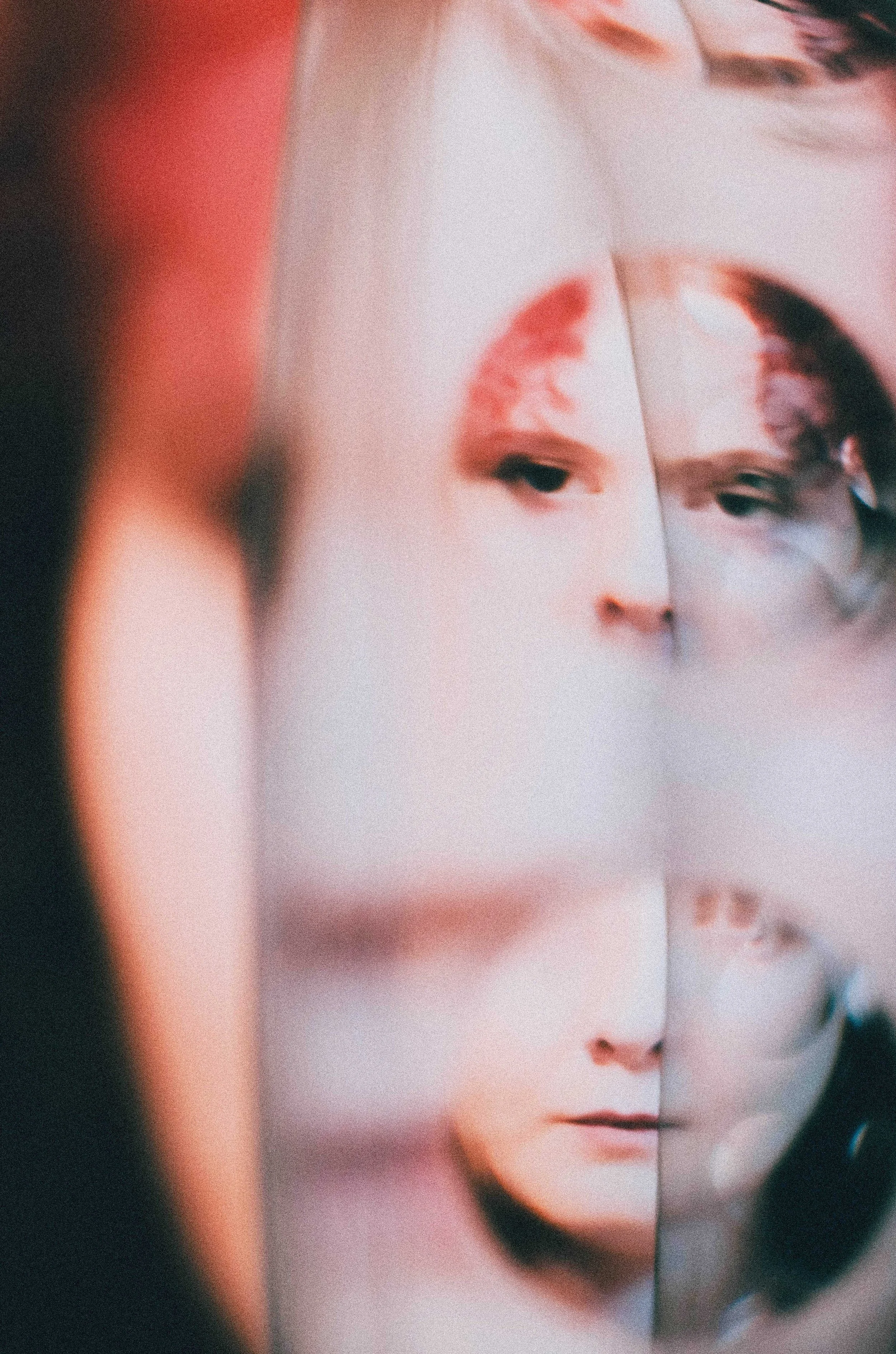 Chamomile, Portrait Photography via Zoom