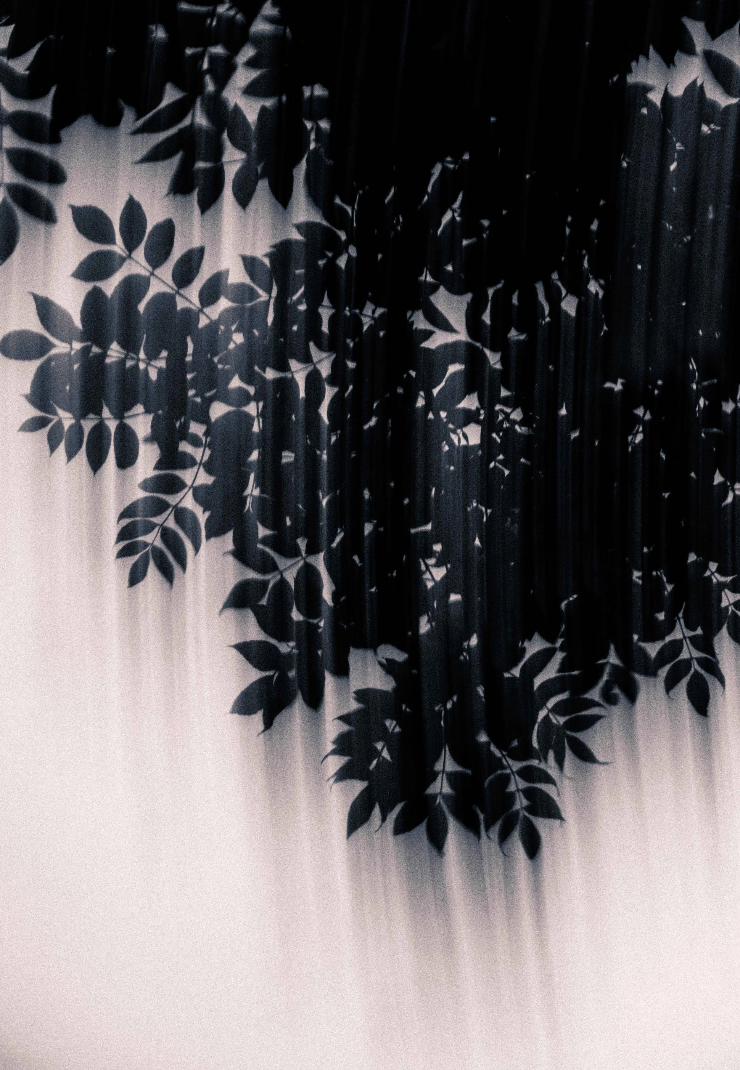 Abstract Woods in Cornwall, UK