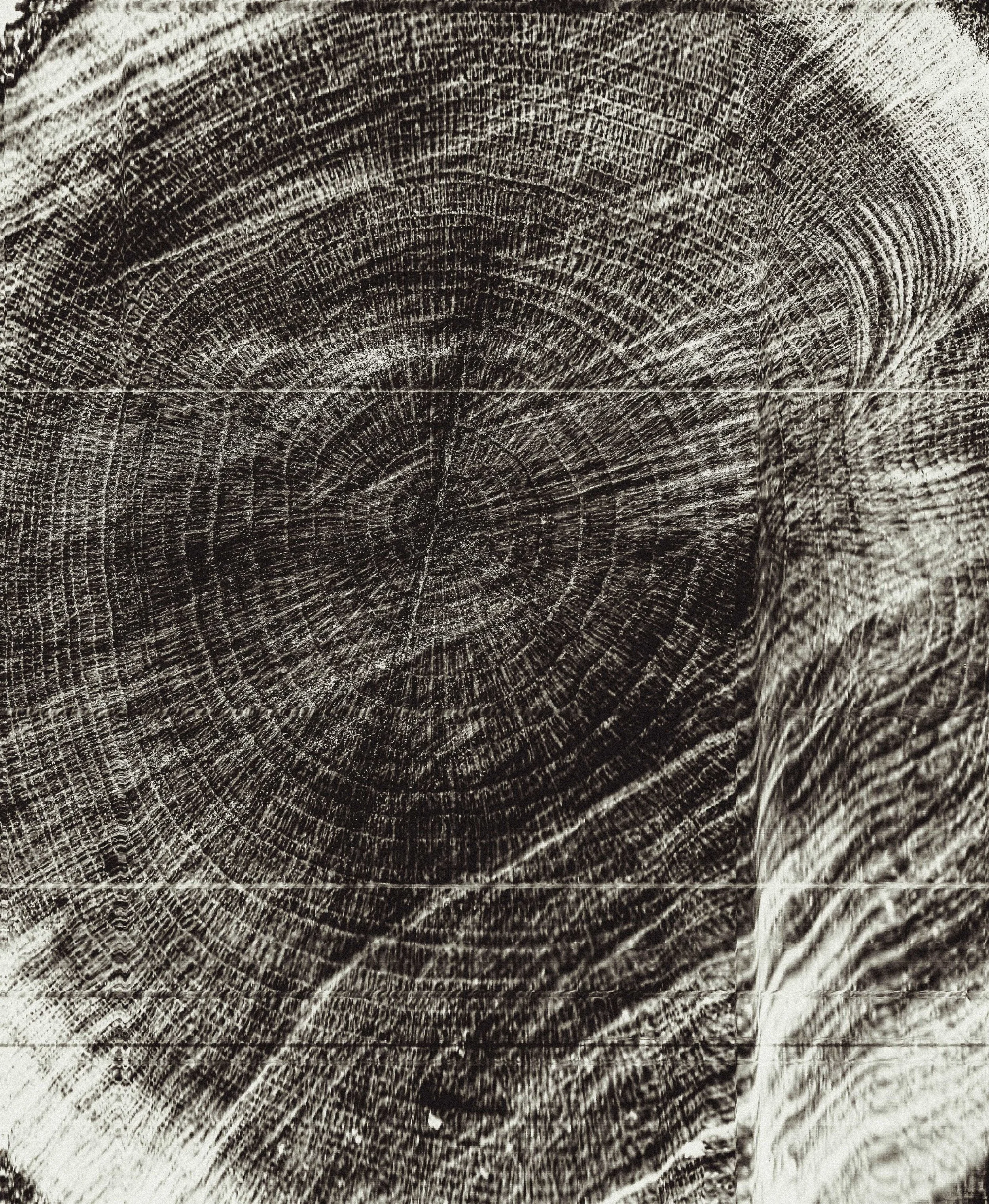 Abstract Woods in Cornwall, UK