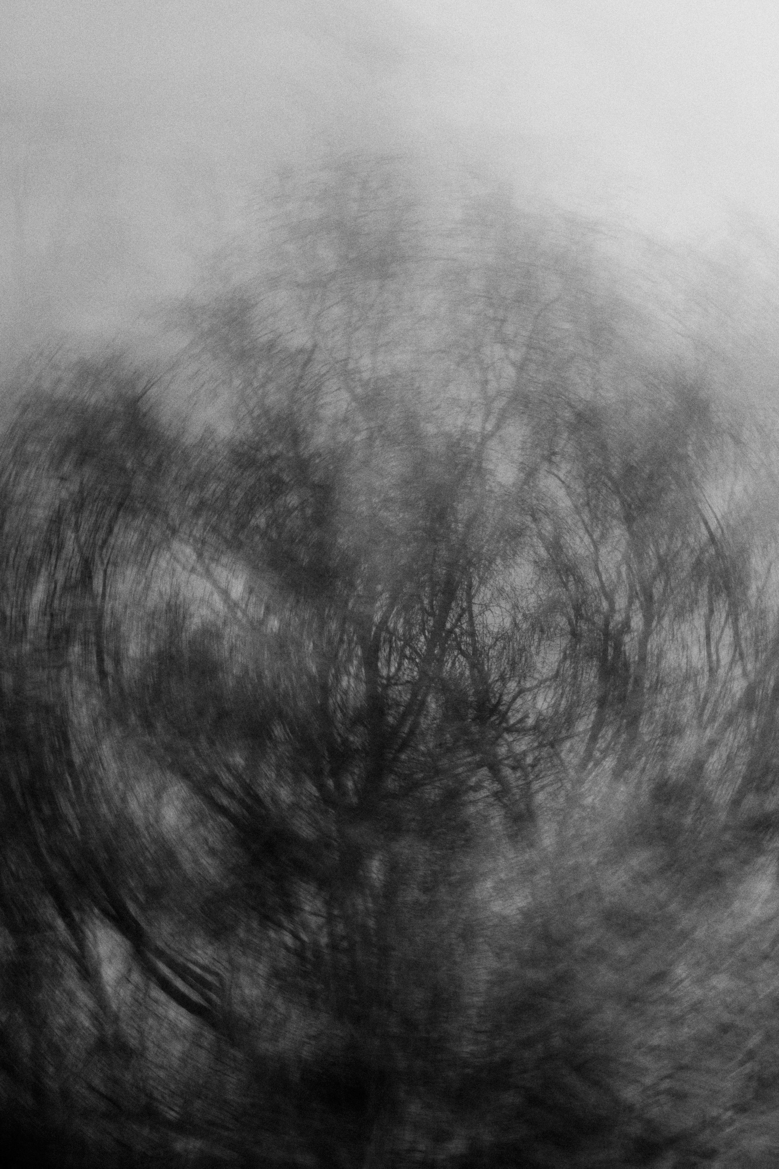  Abstract Woods in Cornwall, UK 