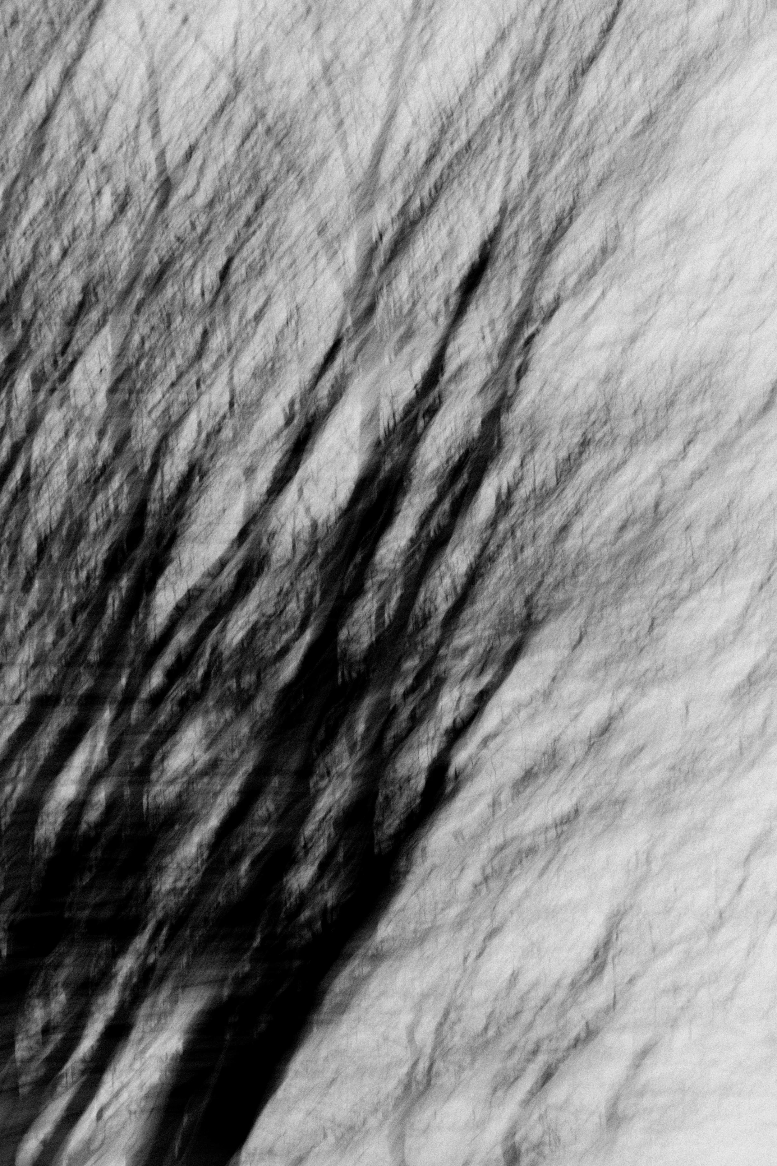  Abstract Woods in Cornwall, UK 