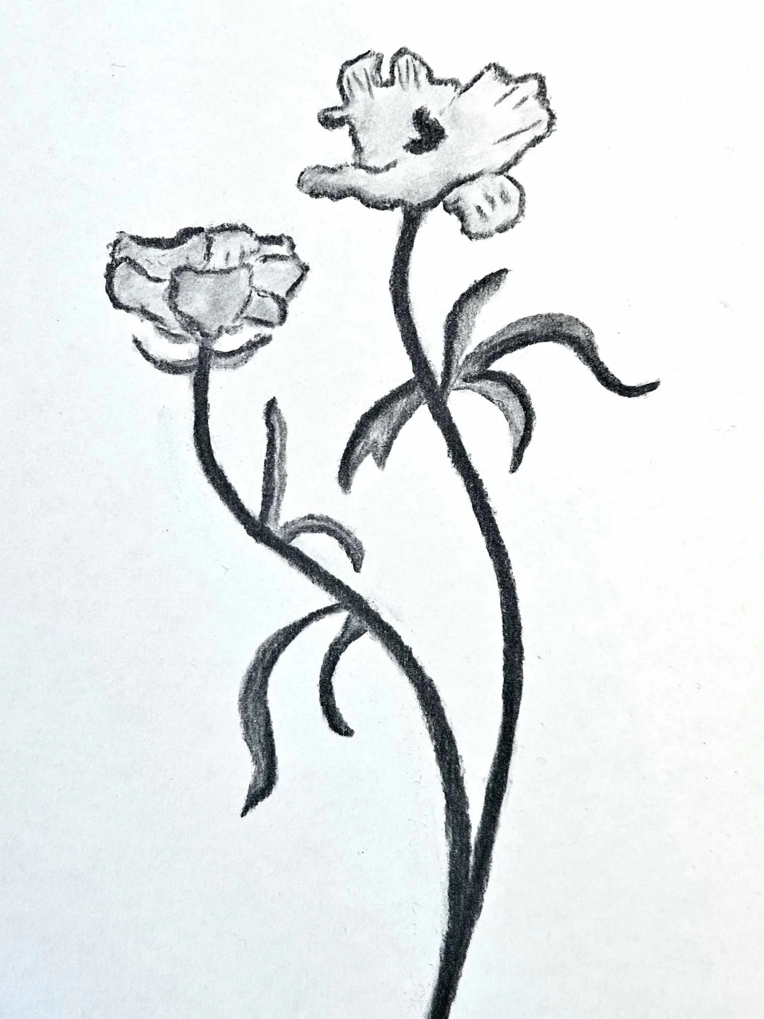  Drawing in Cornwall, UK 