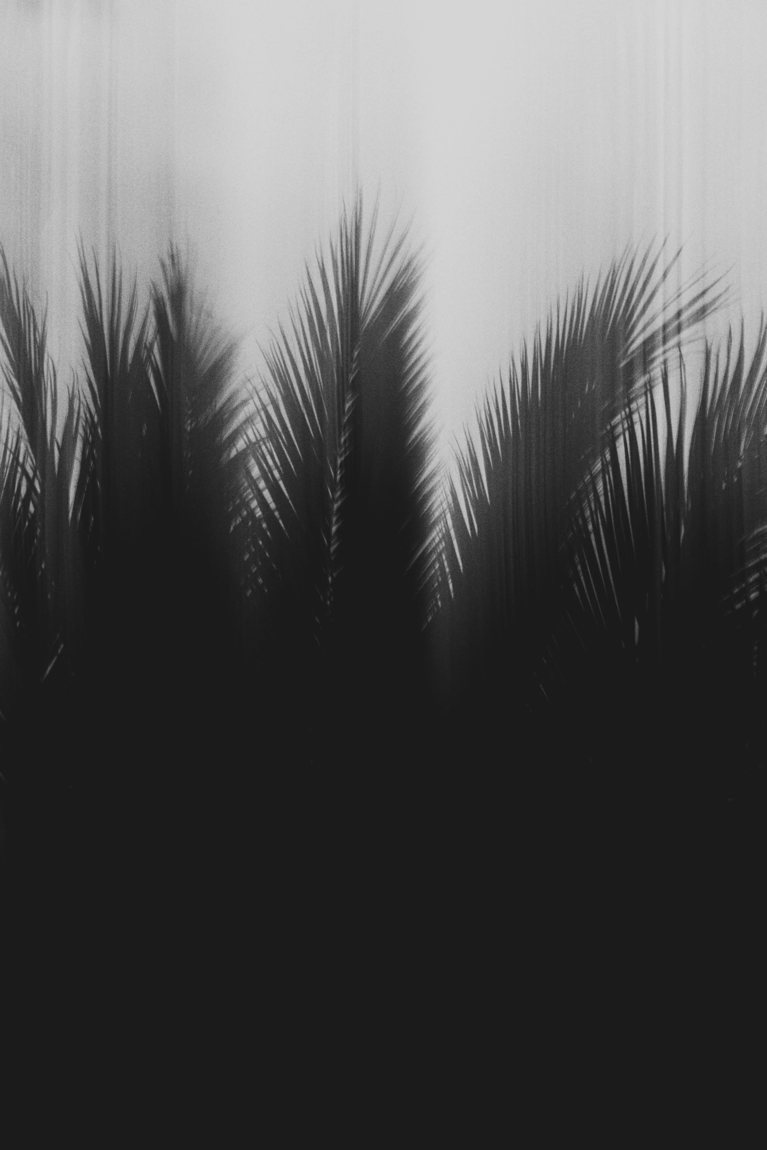  Abstract Woods in Cornwall, UK 