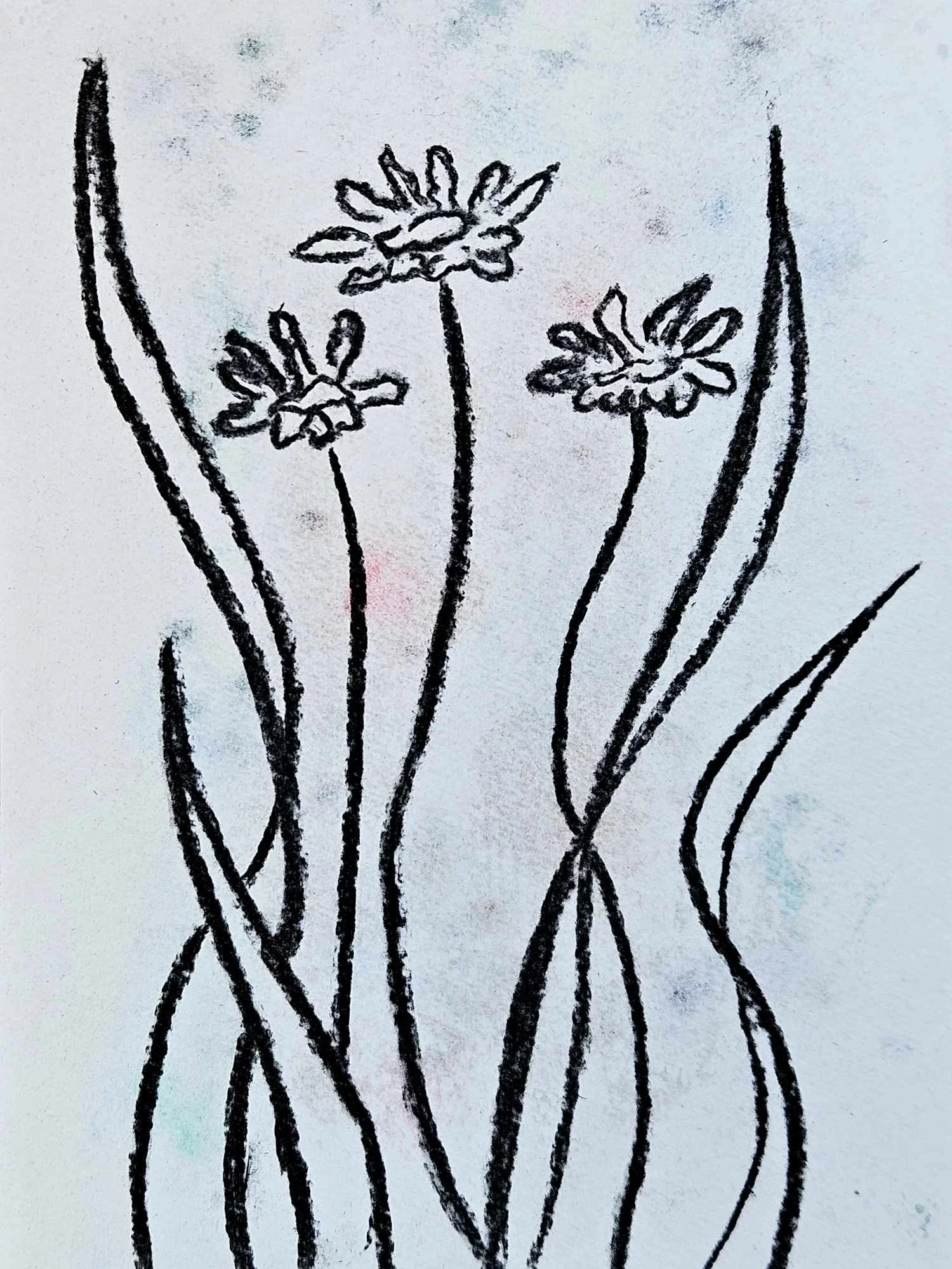  Drawings in Cornwall, UK 