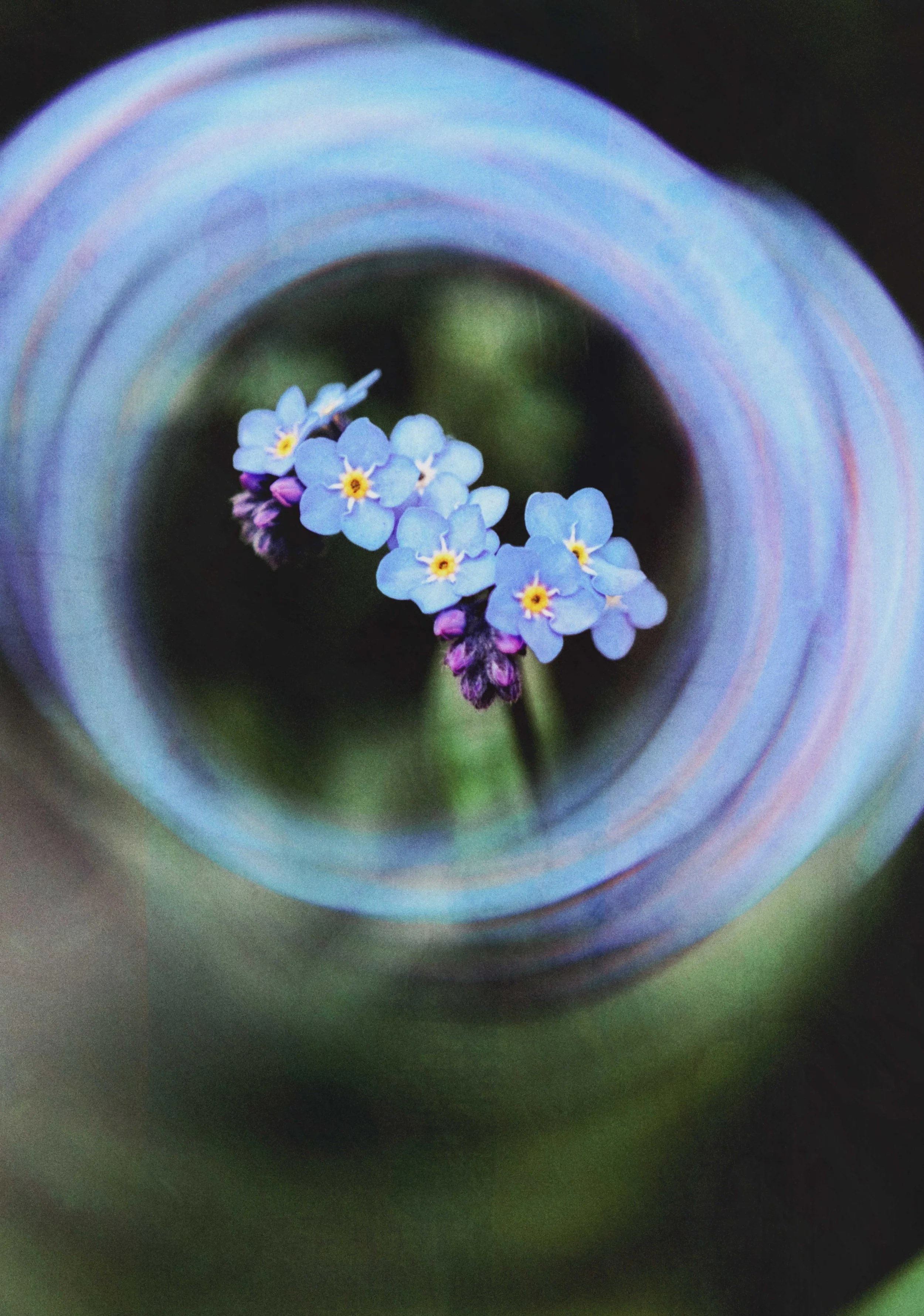  Flower Photography in Cornwall, UK 