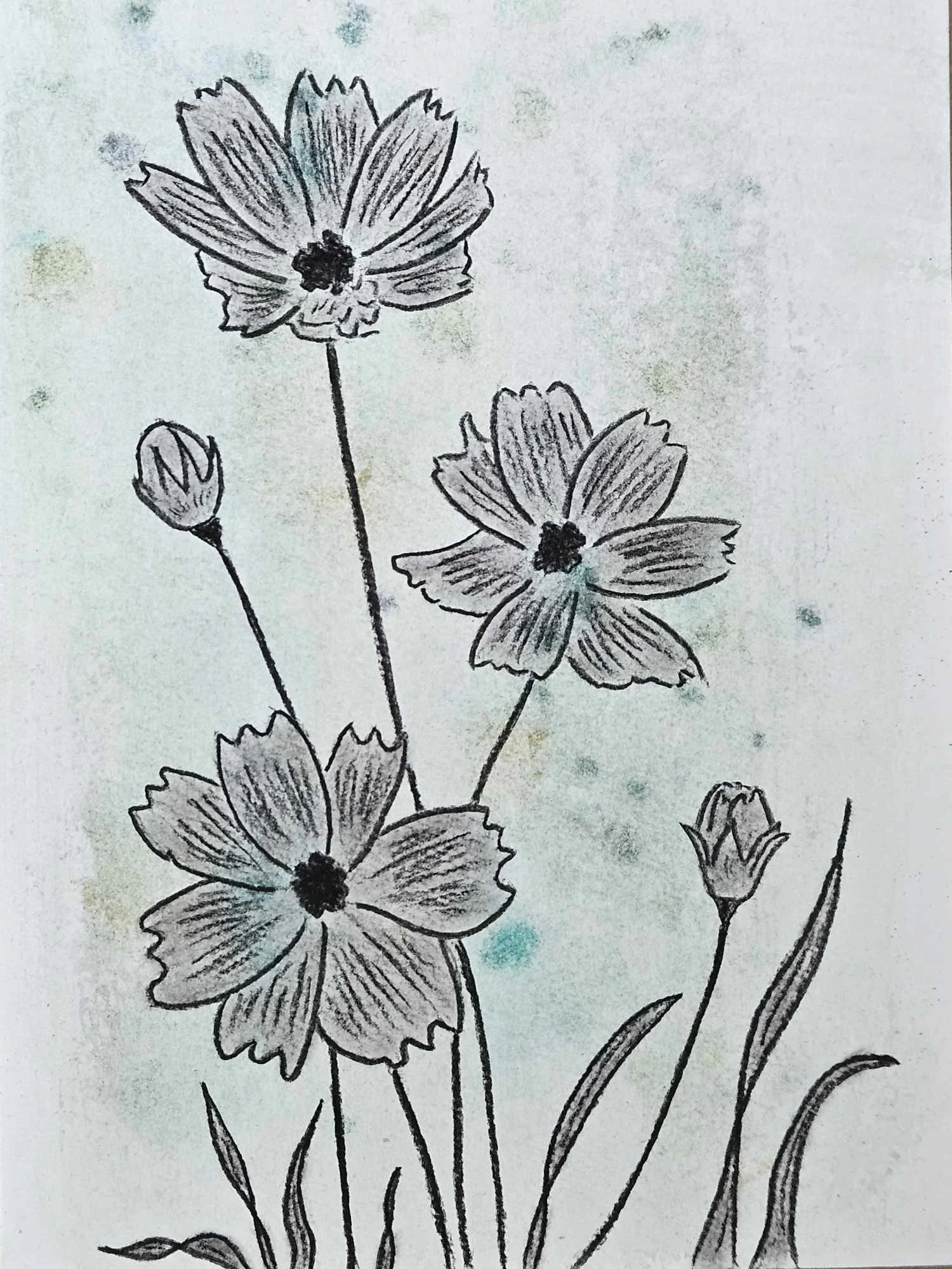  Drawings in Cornwall, UK 