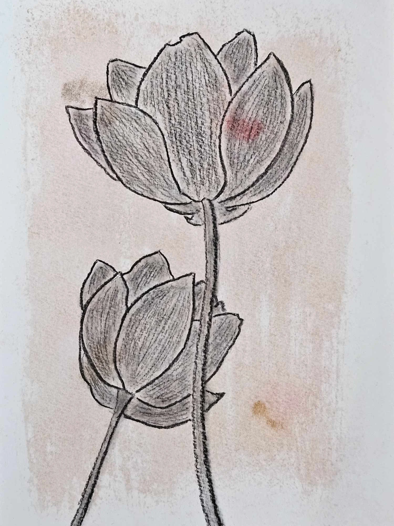  Drawings in Cornwall, UK 