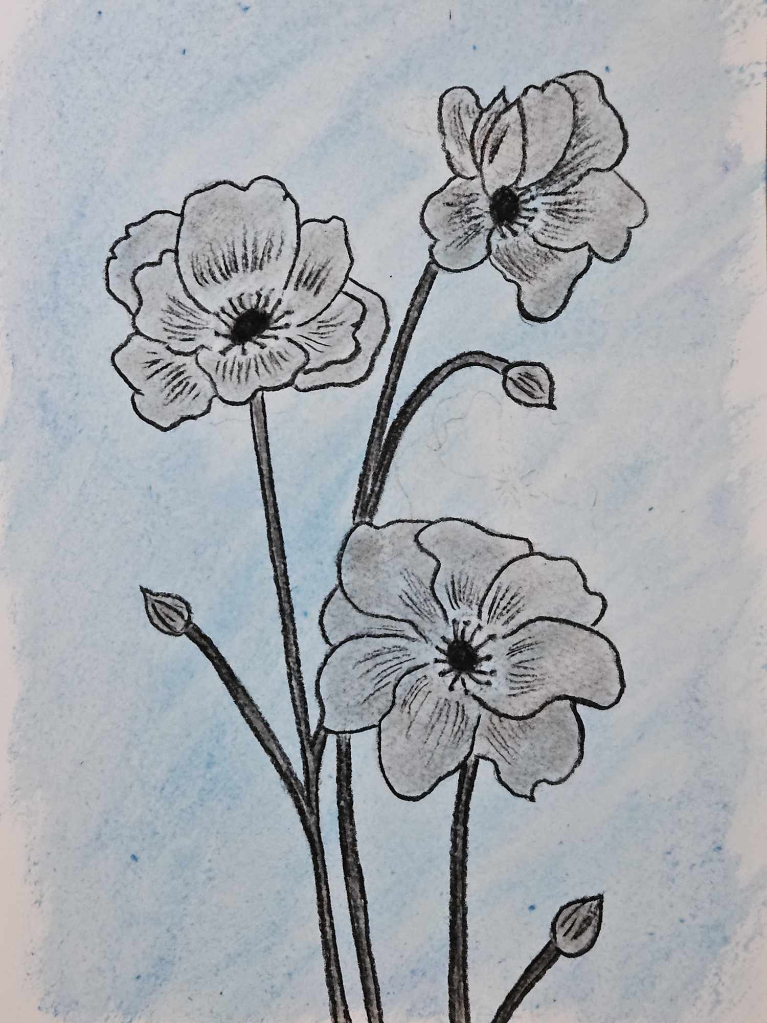  Drawings in Cornwall, UK 