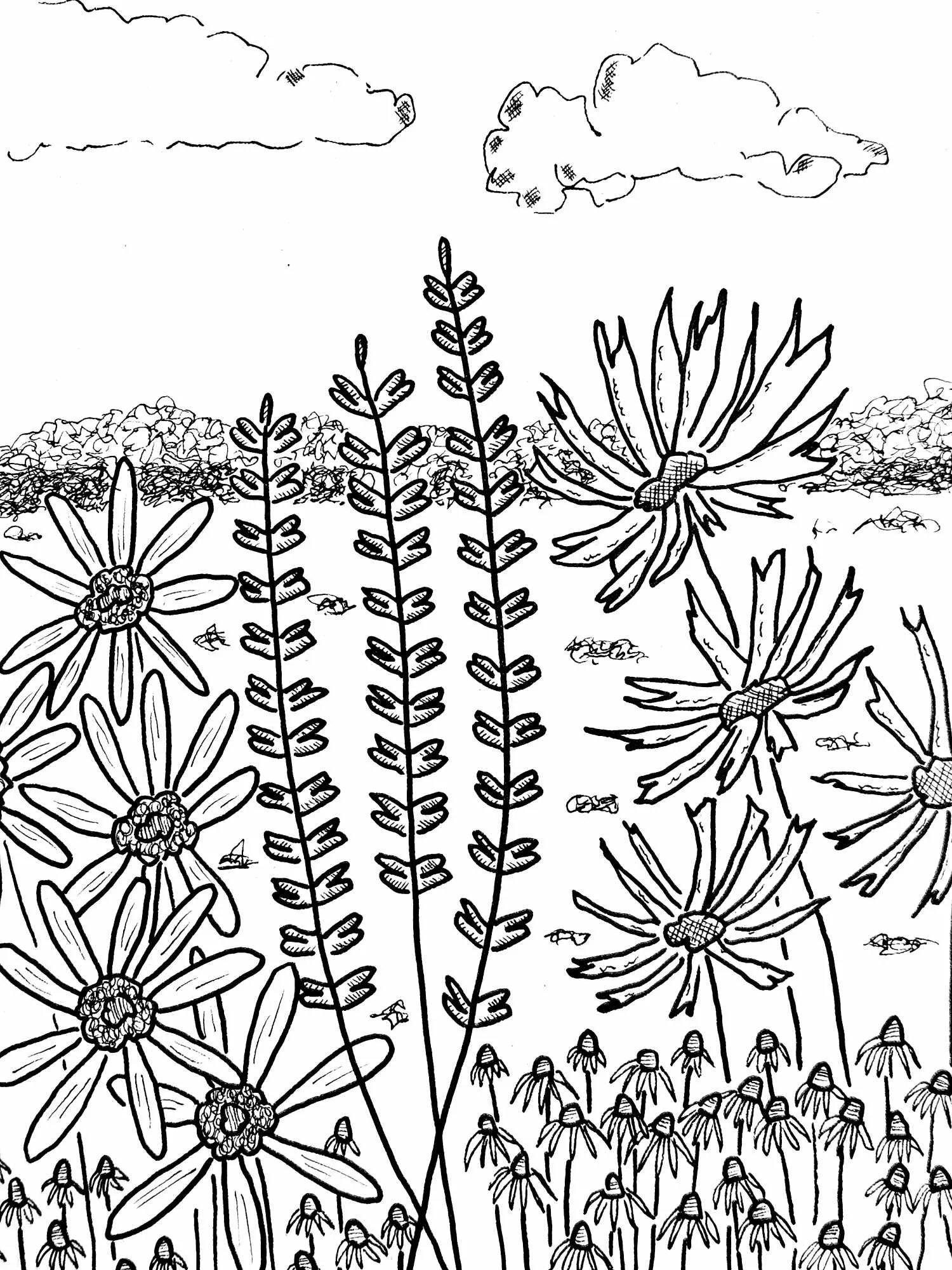  Drawings in Cornwall, UK 