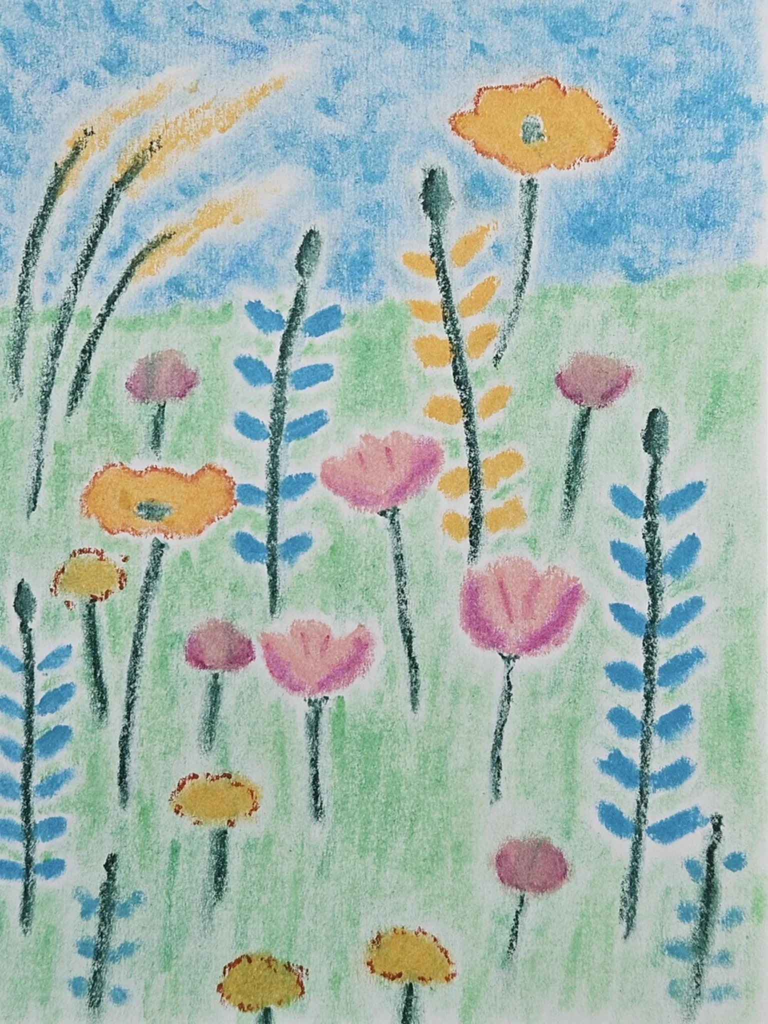 Drawings in Cornwall, UK